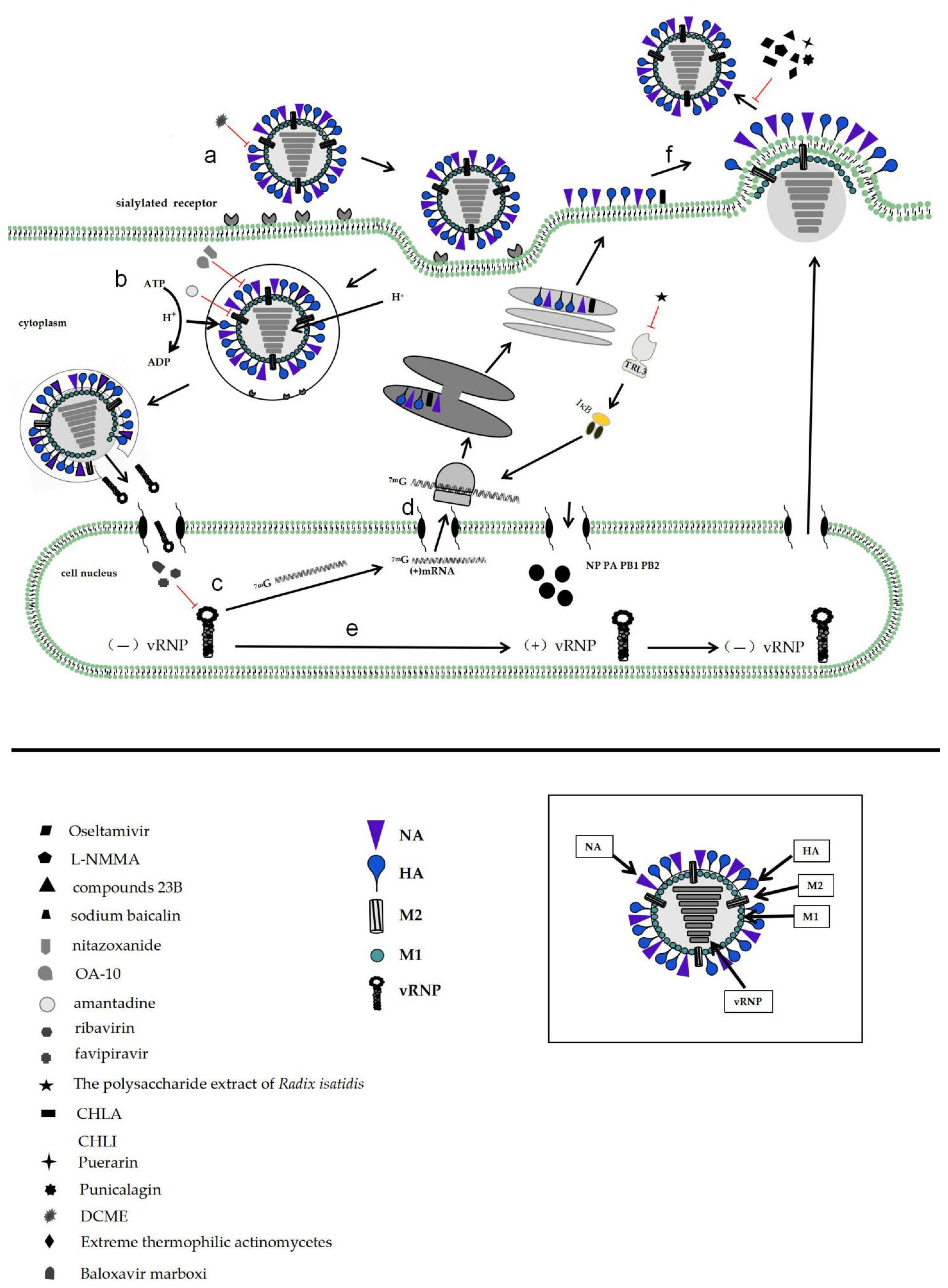 Molecules 26 00810 g001