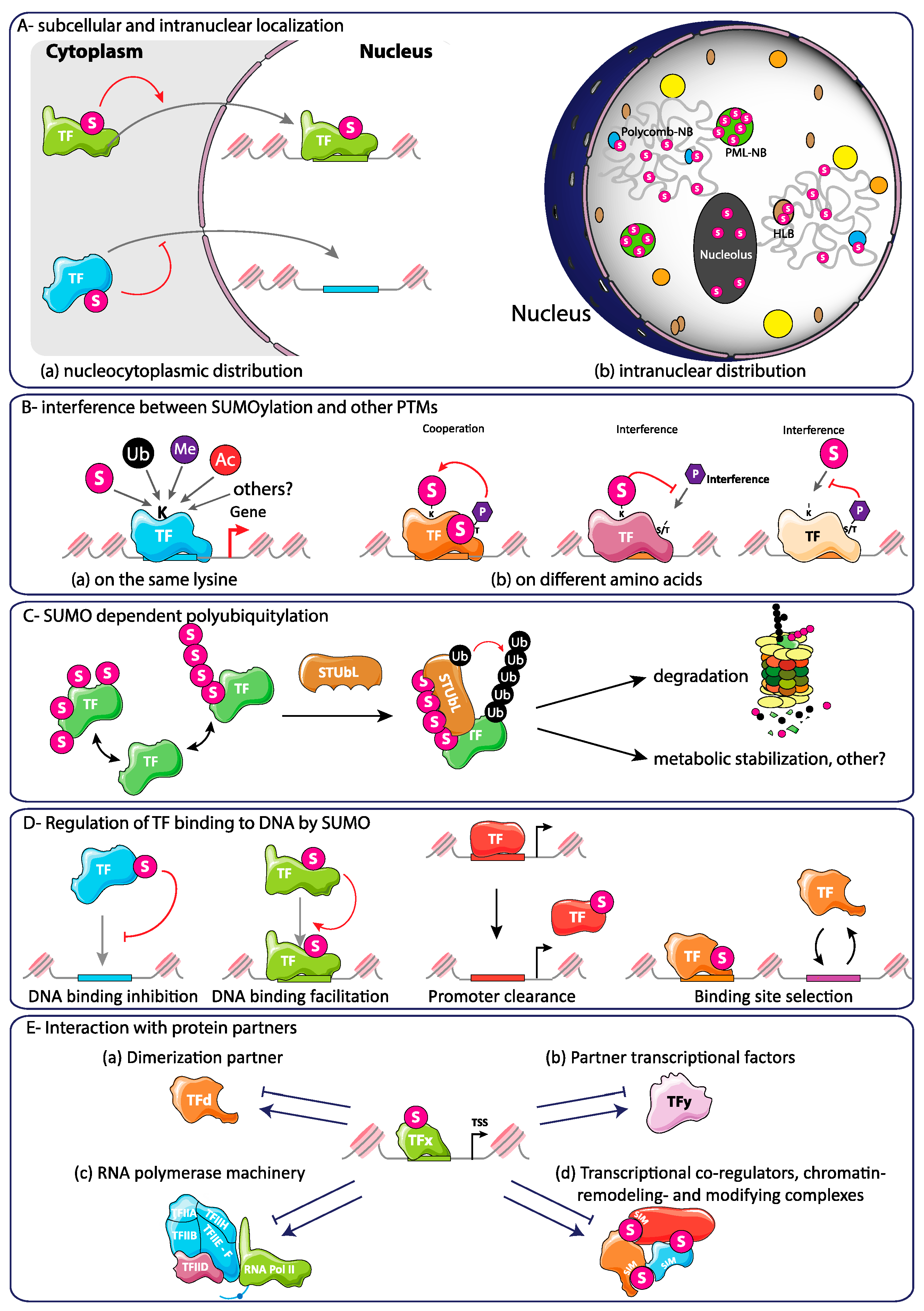 Molecules 26 00828 g003 Molecules 26 00828 g003