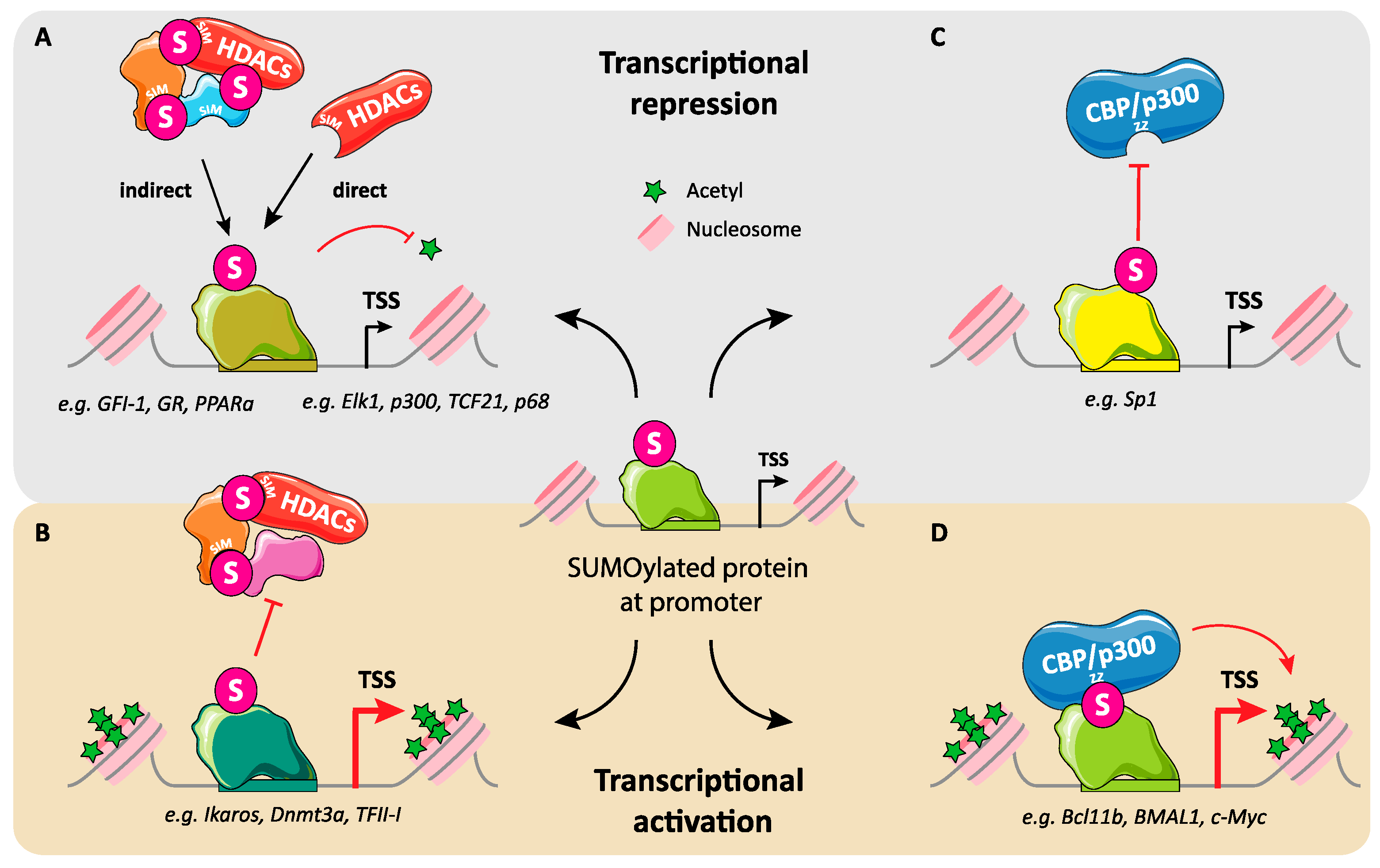 Molecules 26 00828 g004 Molecules 26 00828 g004