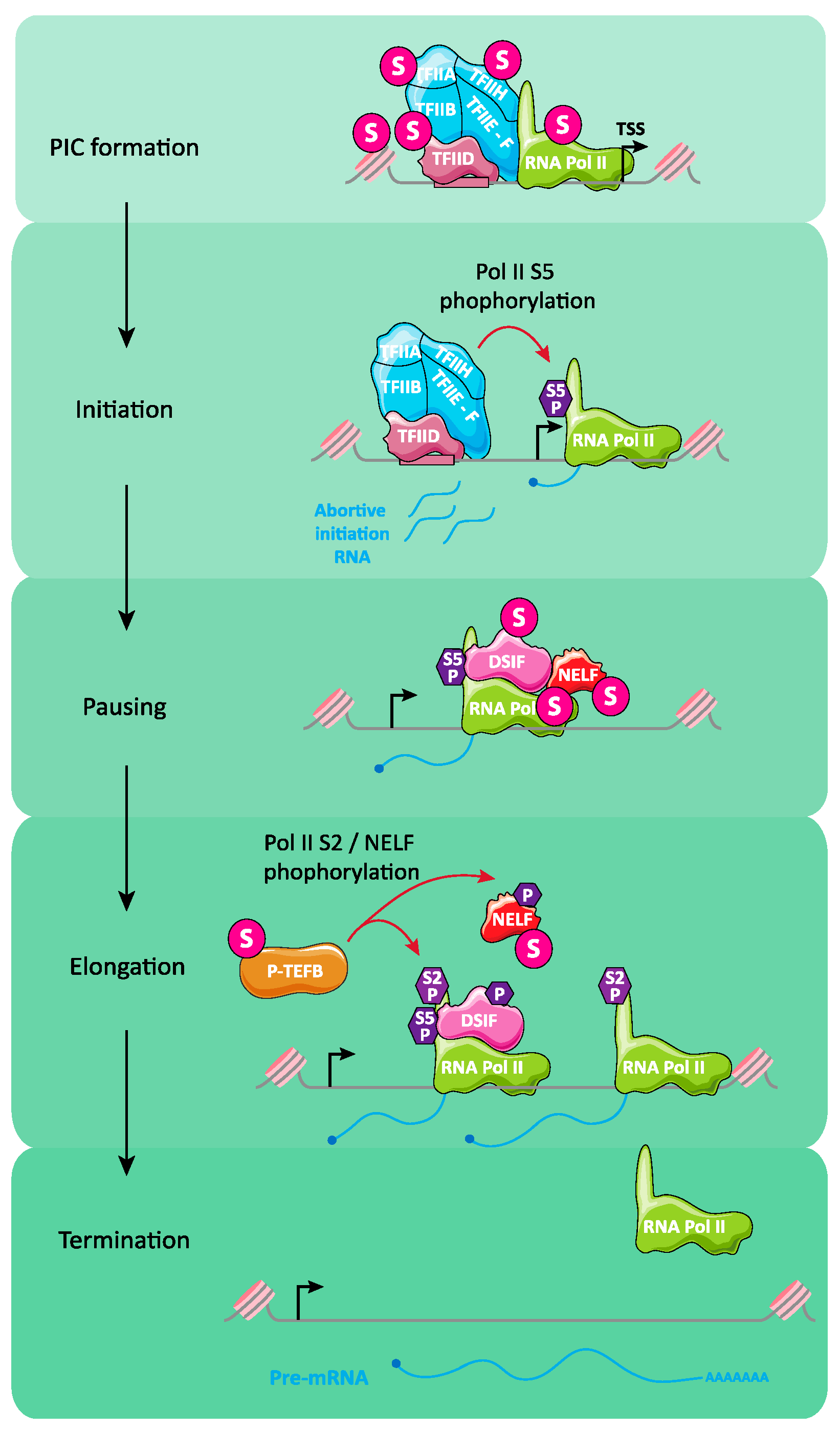 Molecules 26 00828 g005 Molecules 26 00828 g005