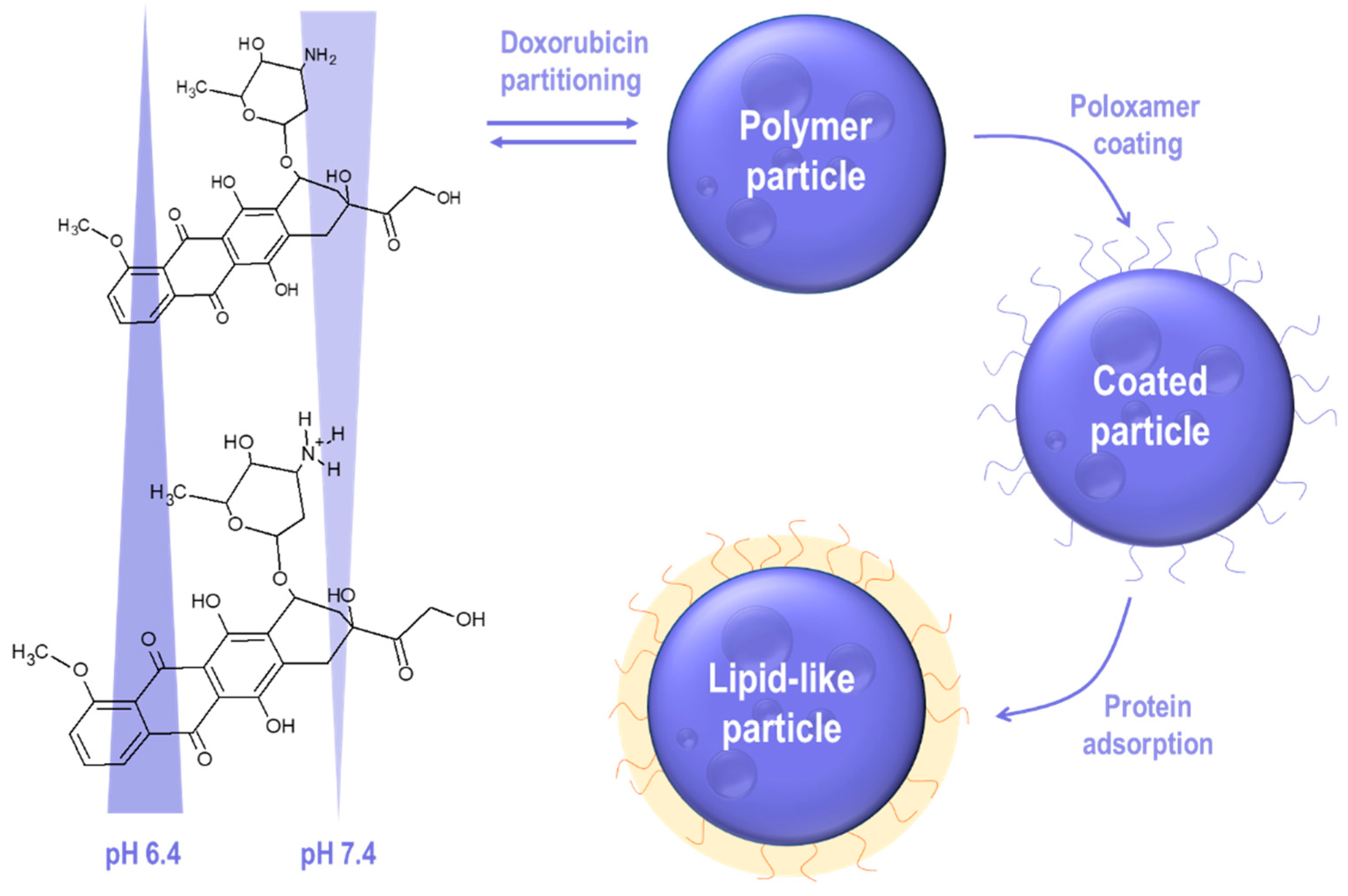 Molecules 26 00831 g001