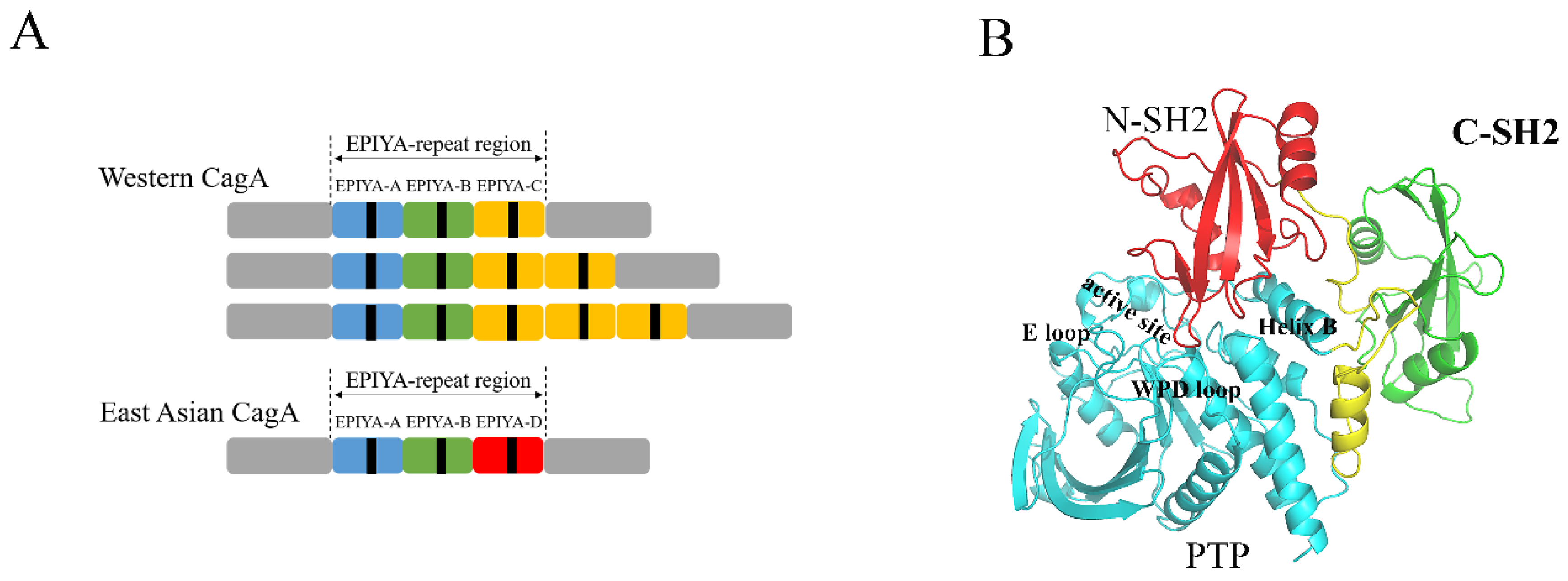 Molecules 26 00837 g001 Molecules 26 00837 g001