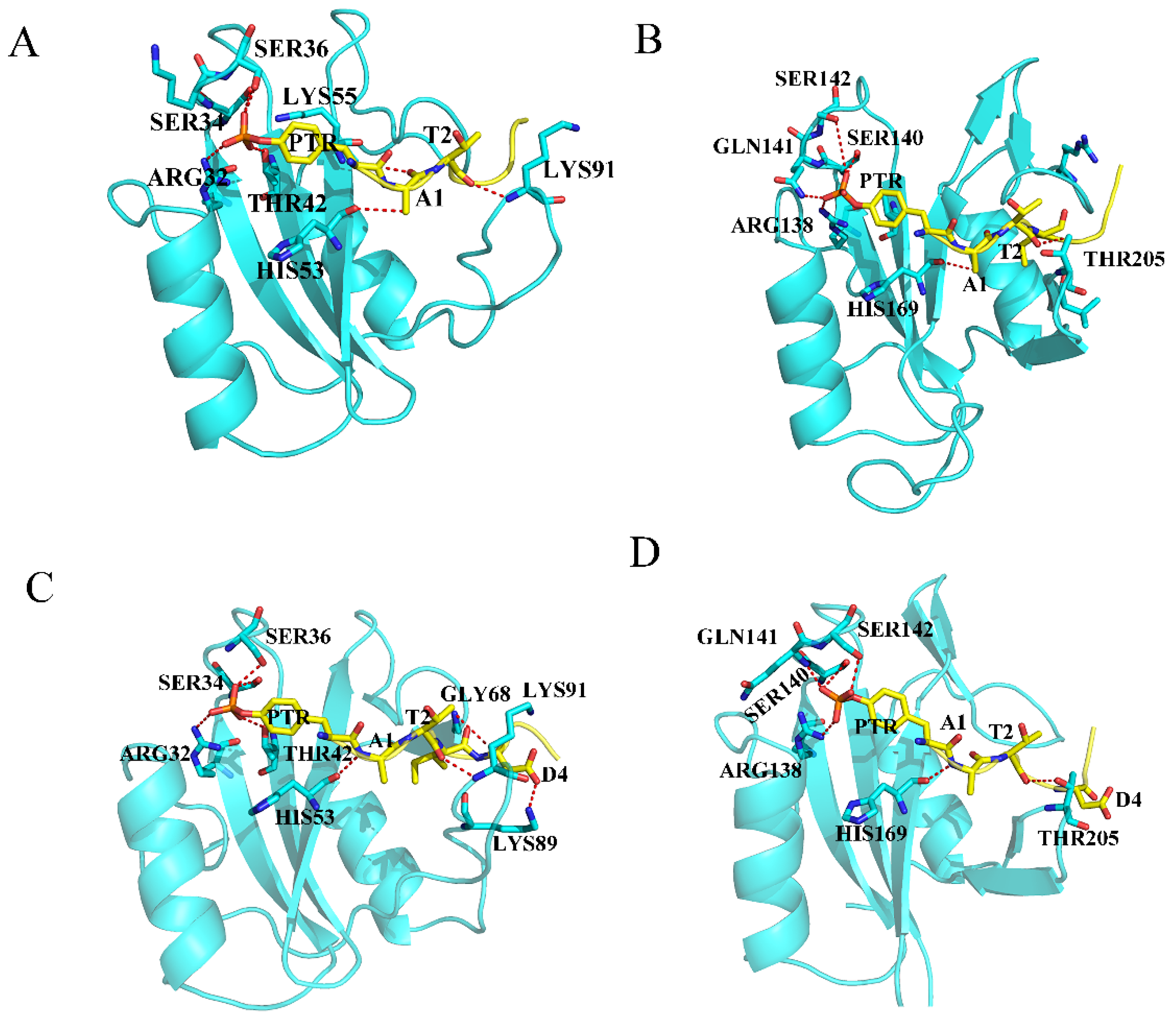 Molecules 26 00837 g004 Molecules 26 00837 g004