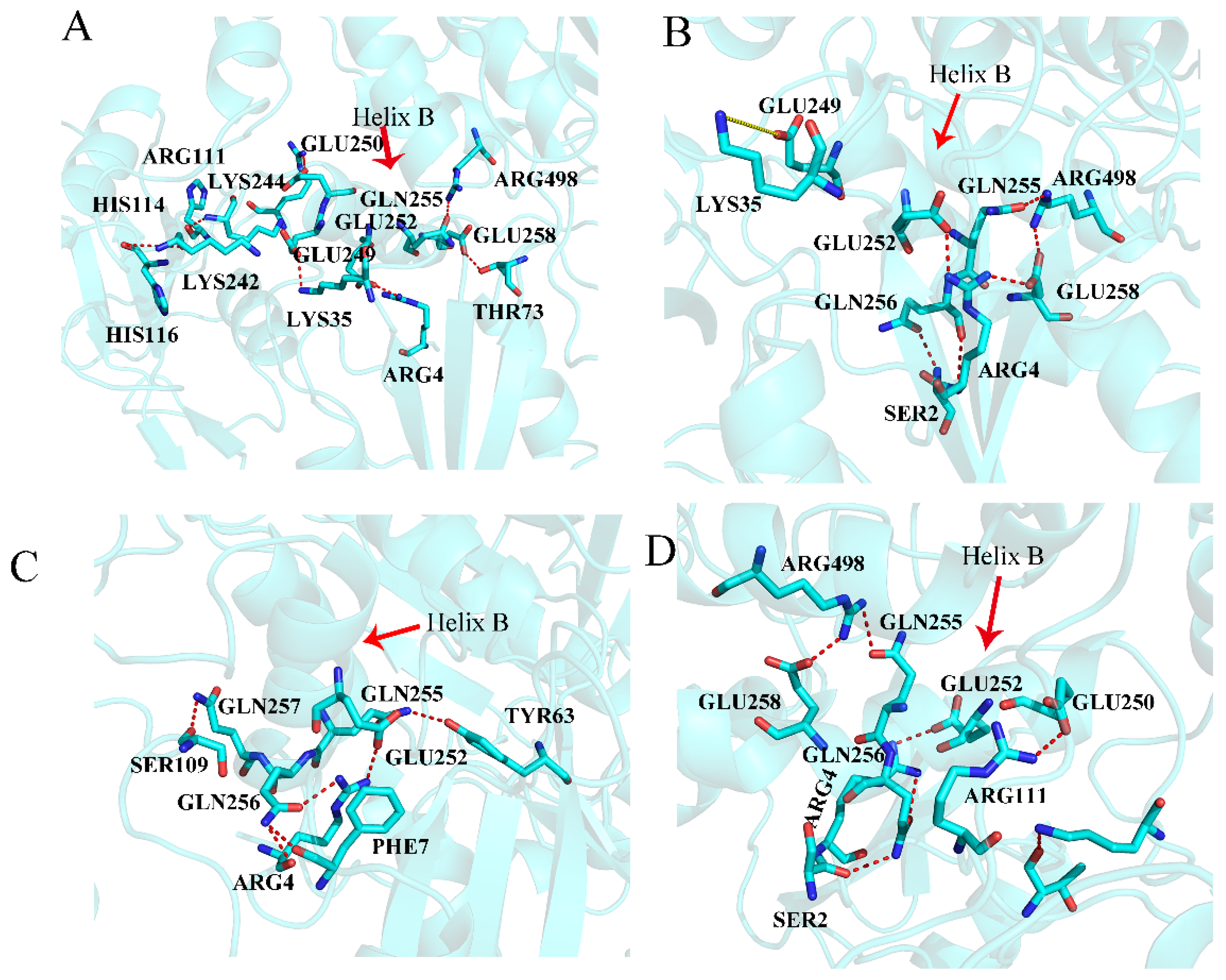 Molecules 26 00837 g006 Molecules 26 00837 g006