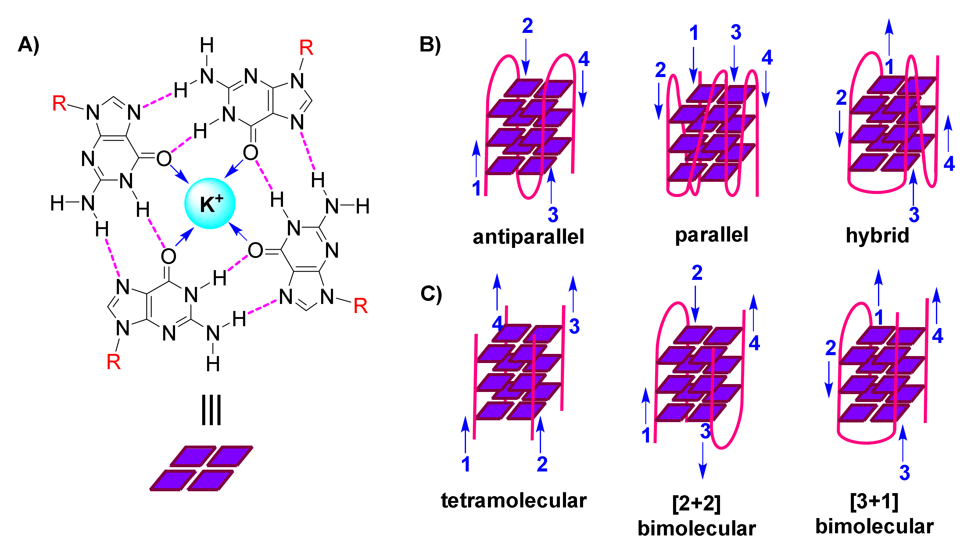 Molecules 26 00841 g001