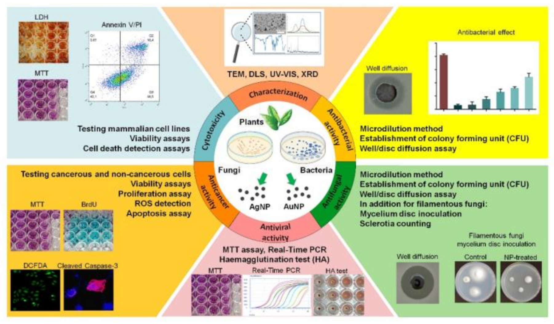 Molecules 26 00844 g002 Molecules 26 00844 g002