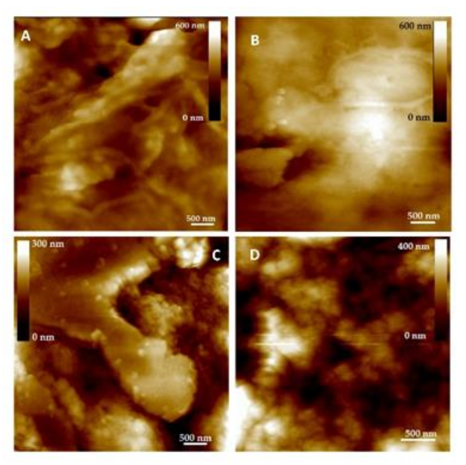 Molecules 26 00845 g006 Molecules 26 00845 g006