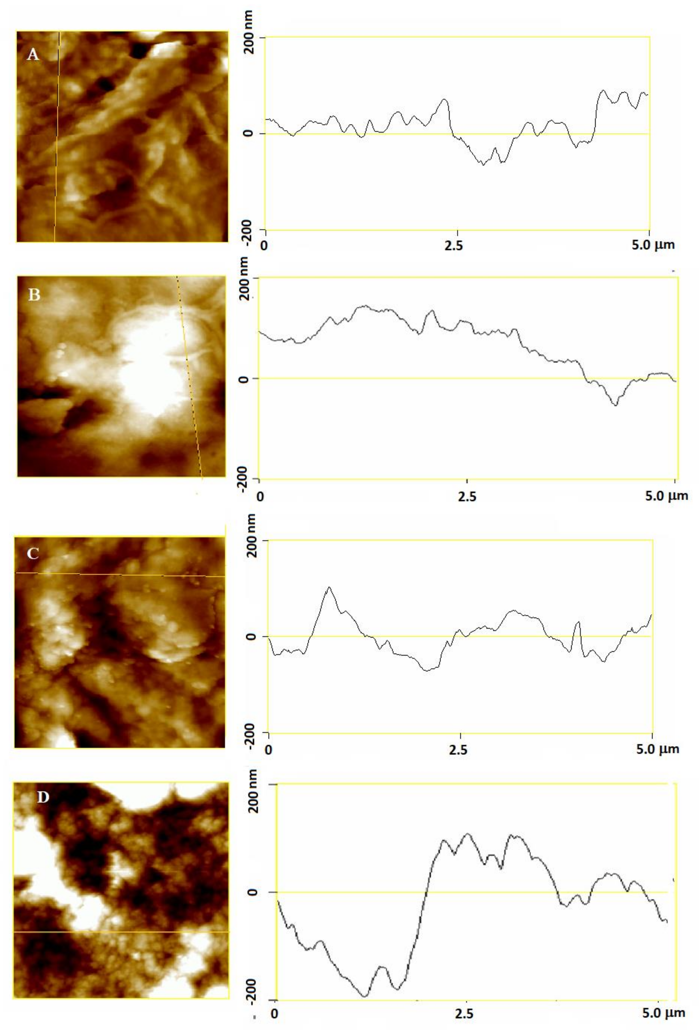 Molecules 26 00845 g007 Molecules 26 00845 g007