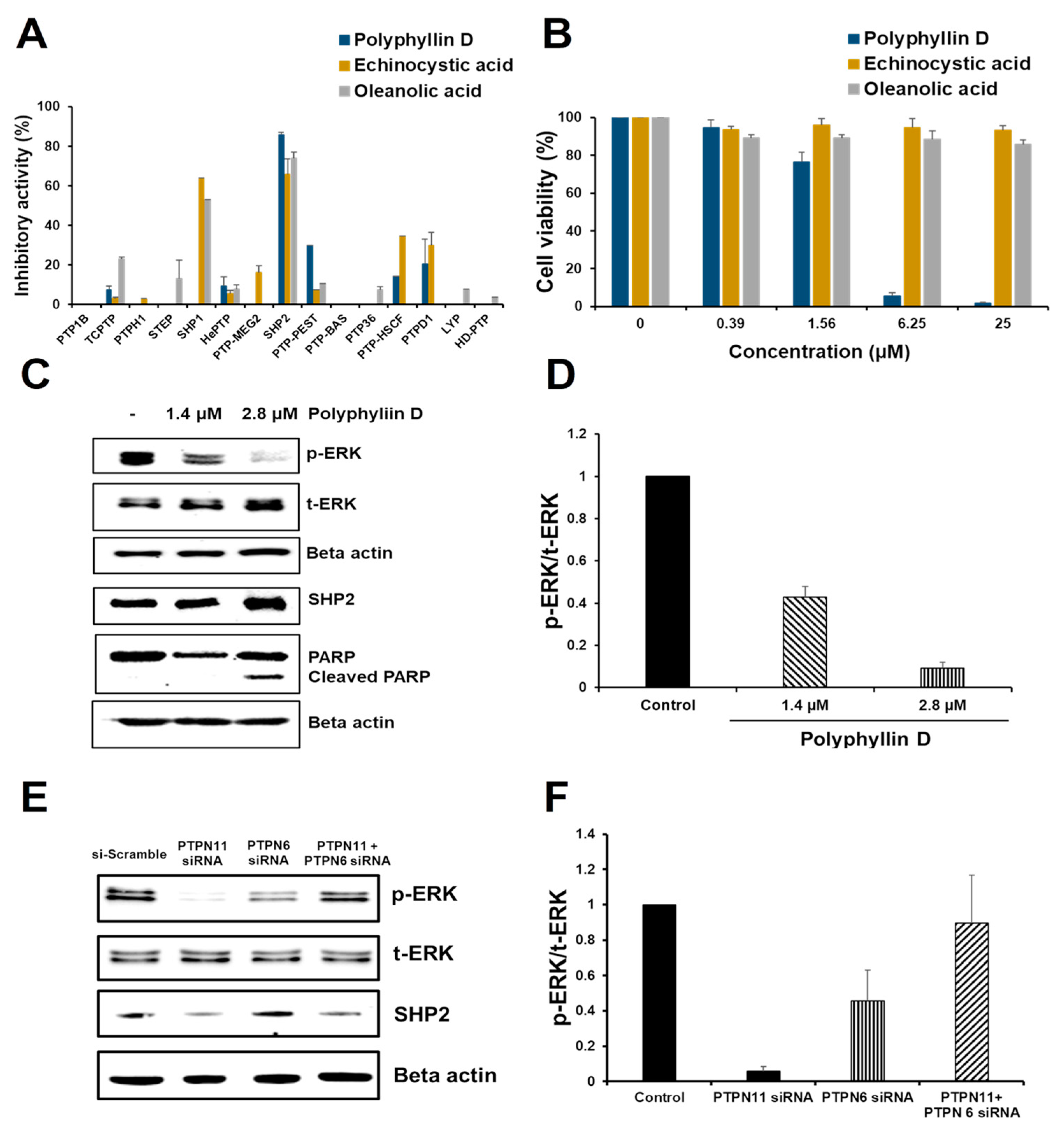 Molecules 26 00848 g003