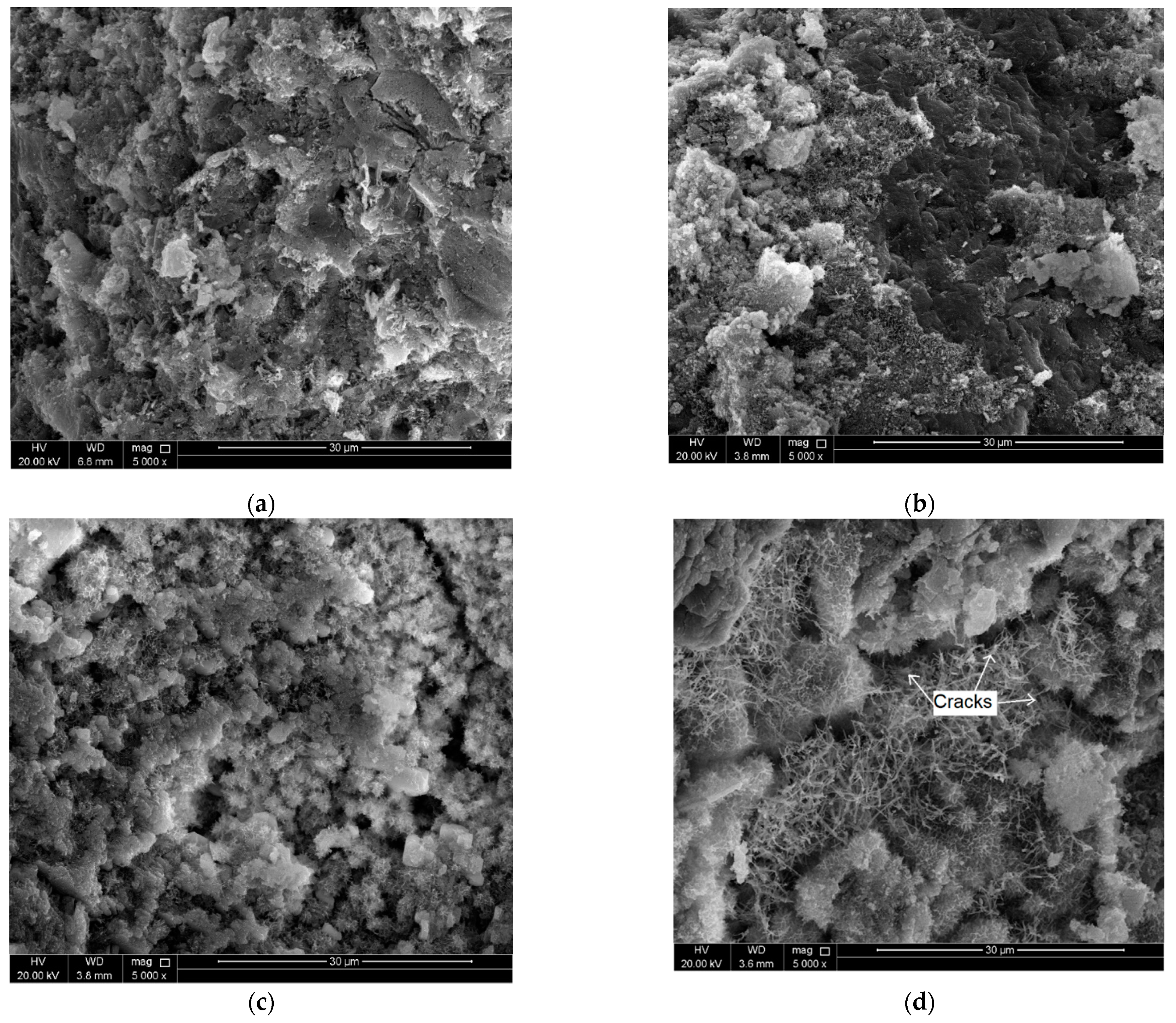 Molecules 26 00850 g003 Molecules 26 00850 g003