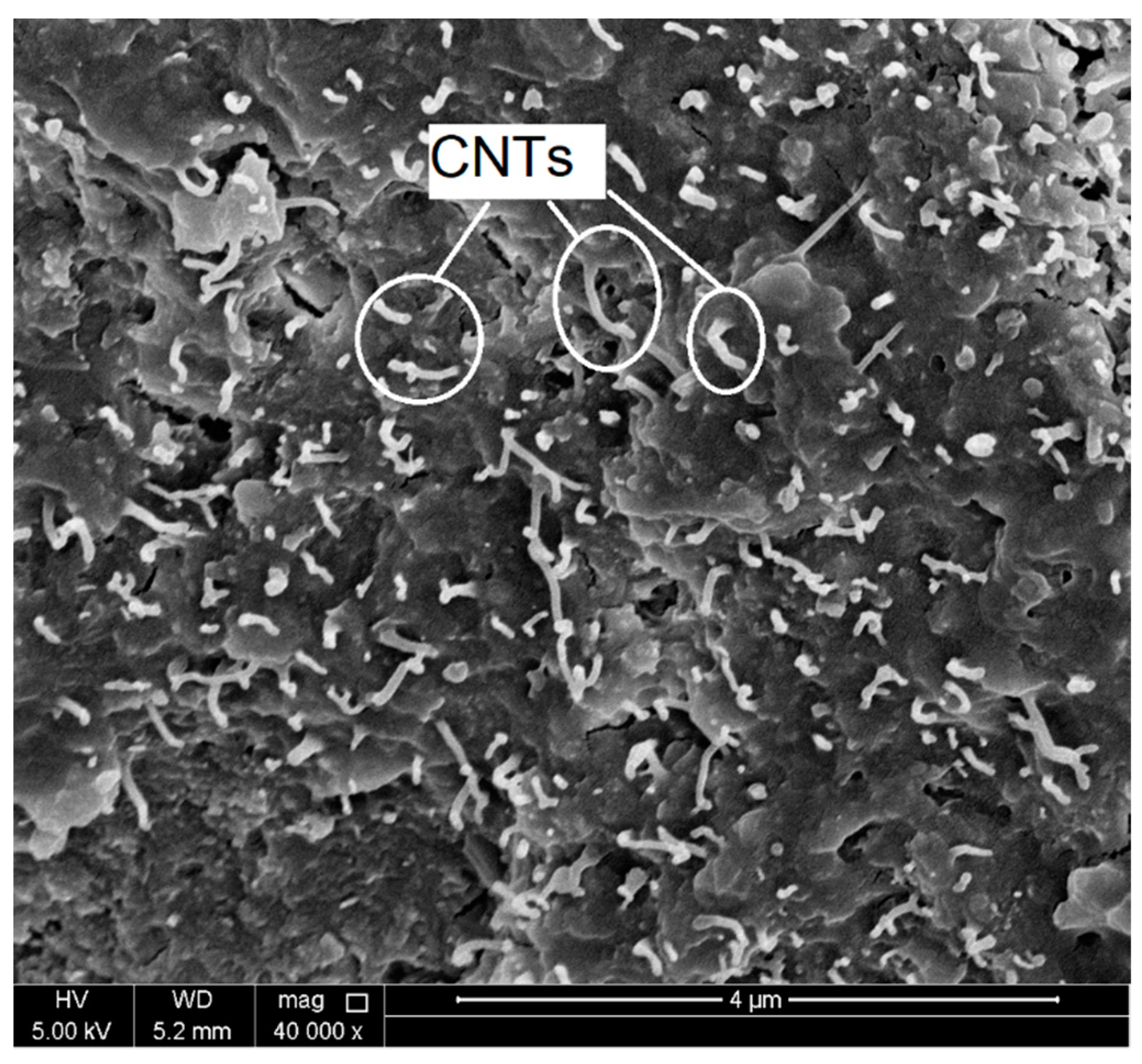 Molecules 26 00850 g004 Molecules 26 00850 g004