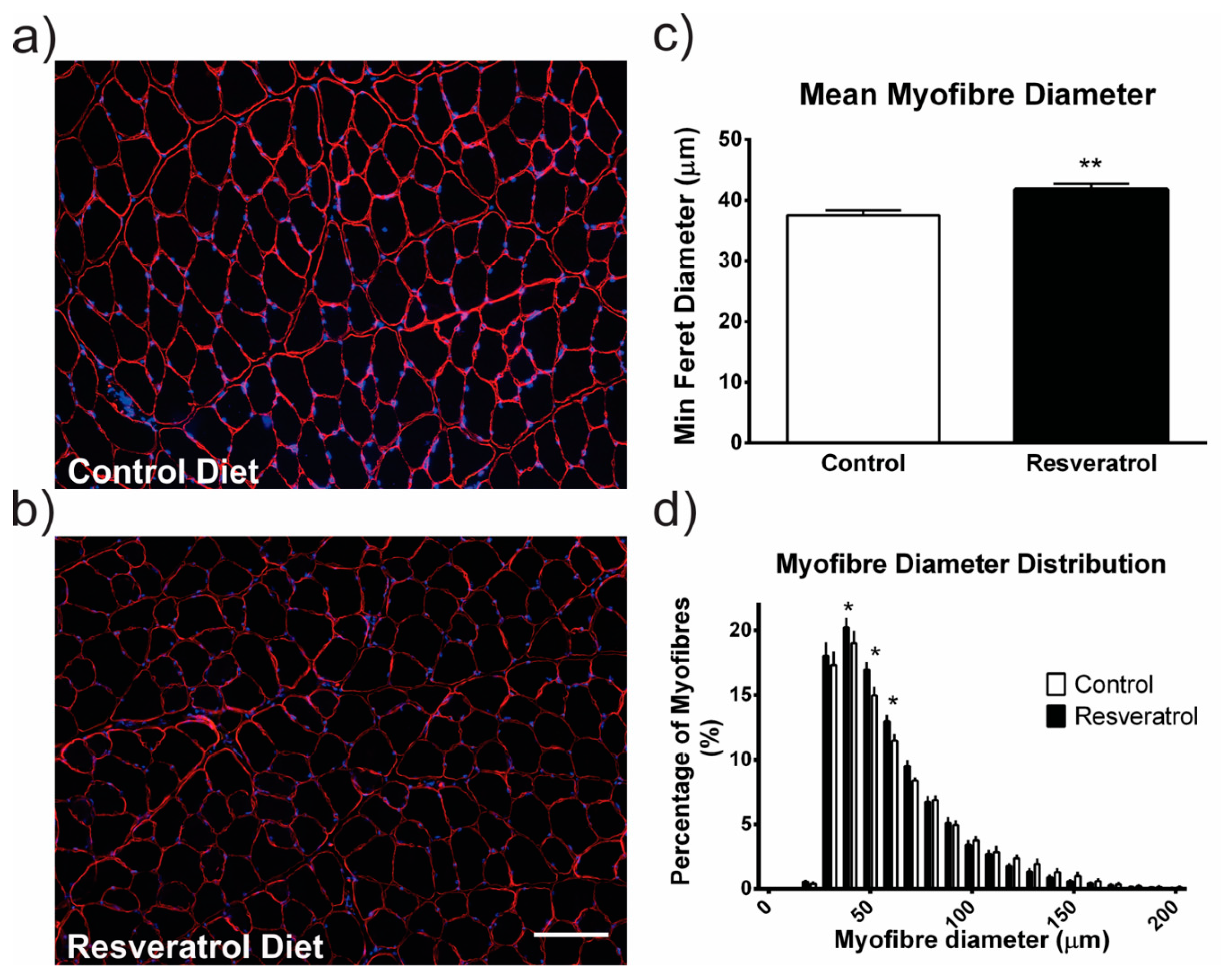 Molecules 26 00853 g001