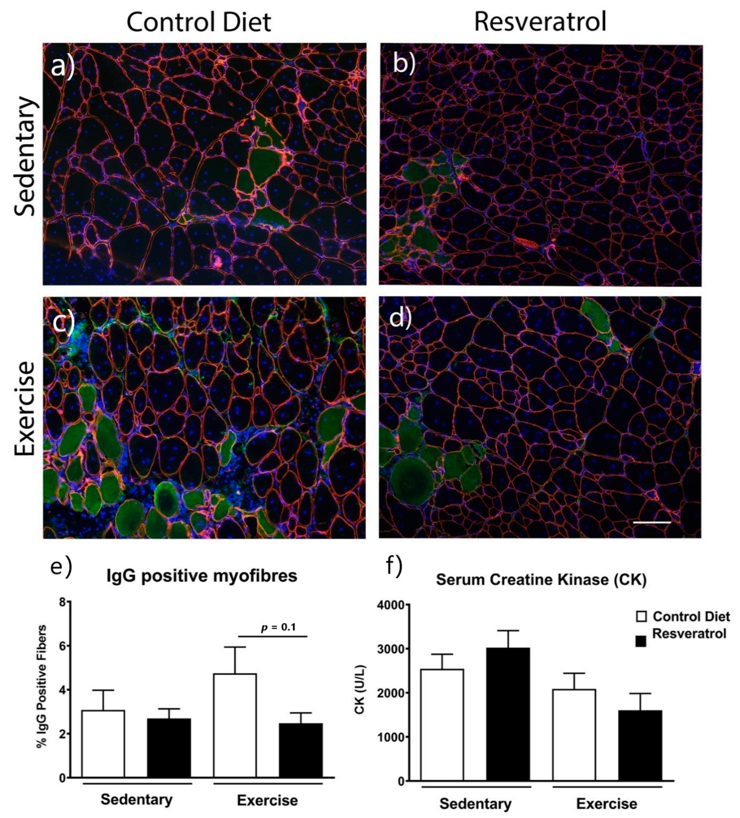 Molecules 26 00853 g004