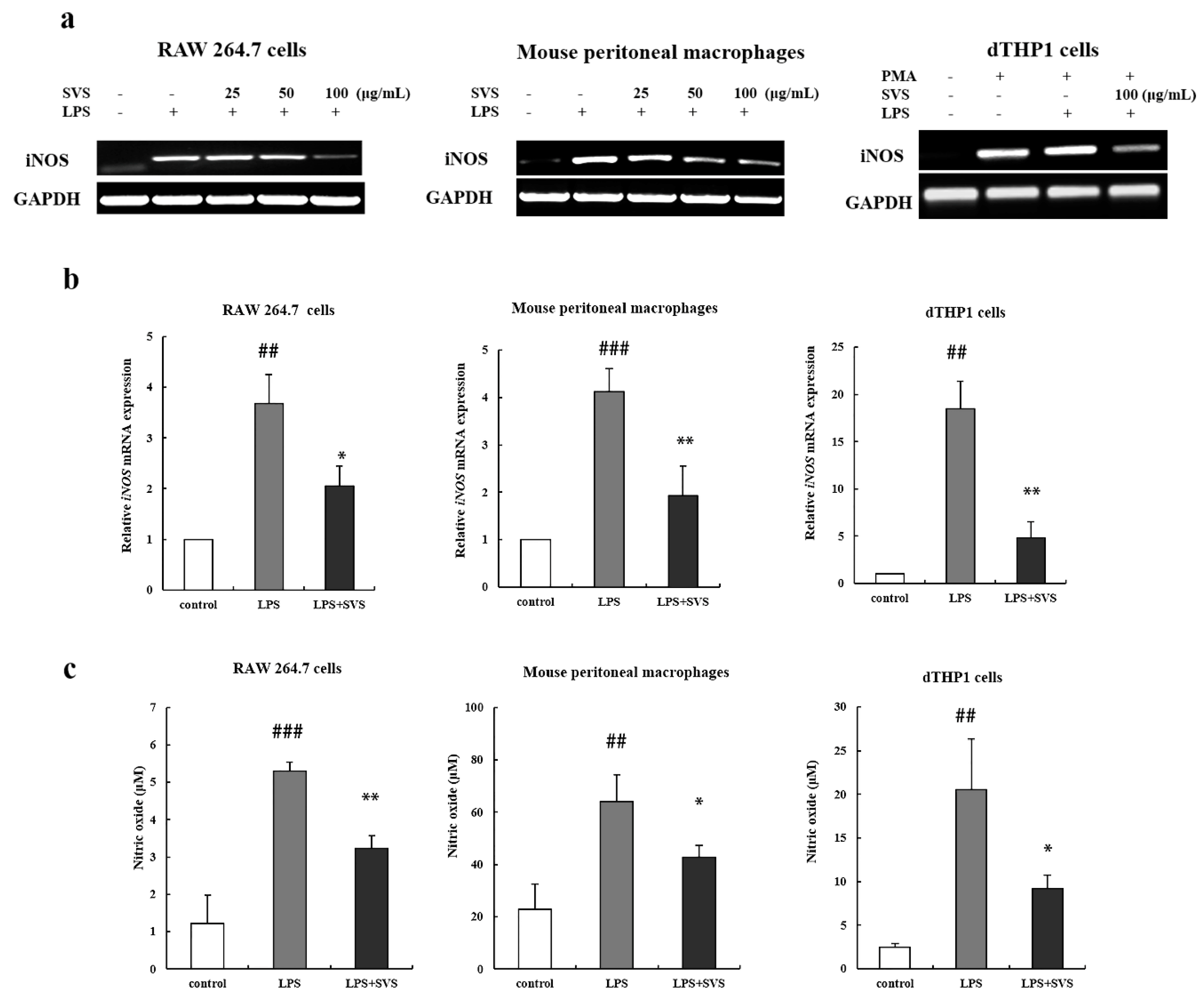 Molecules 26 00858 g004a