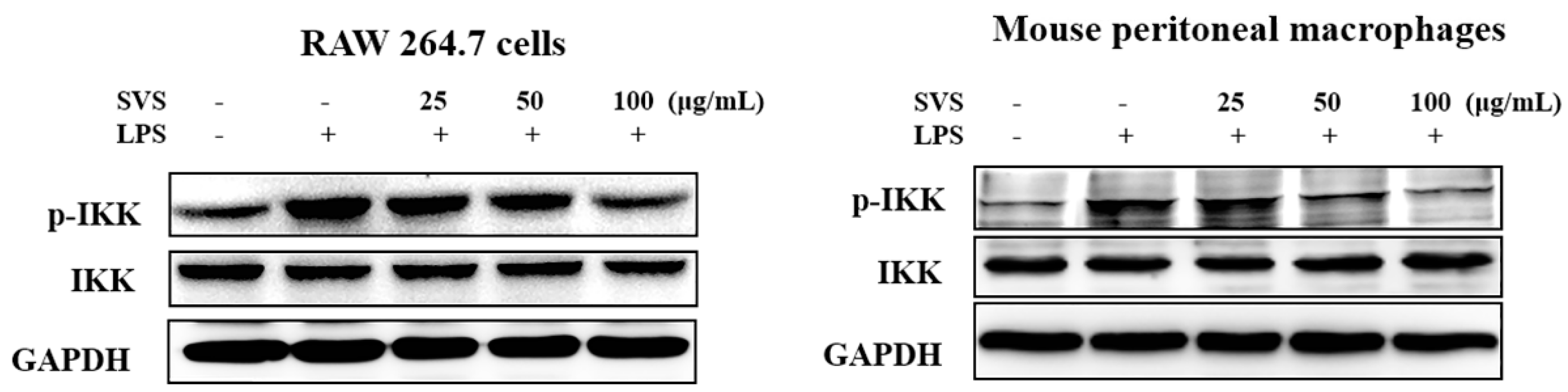 Molecules 26 00858 g006