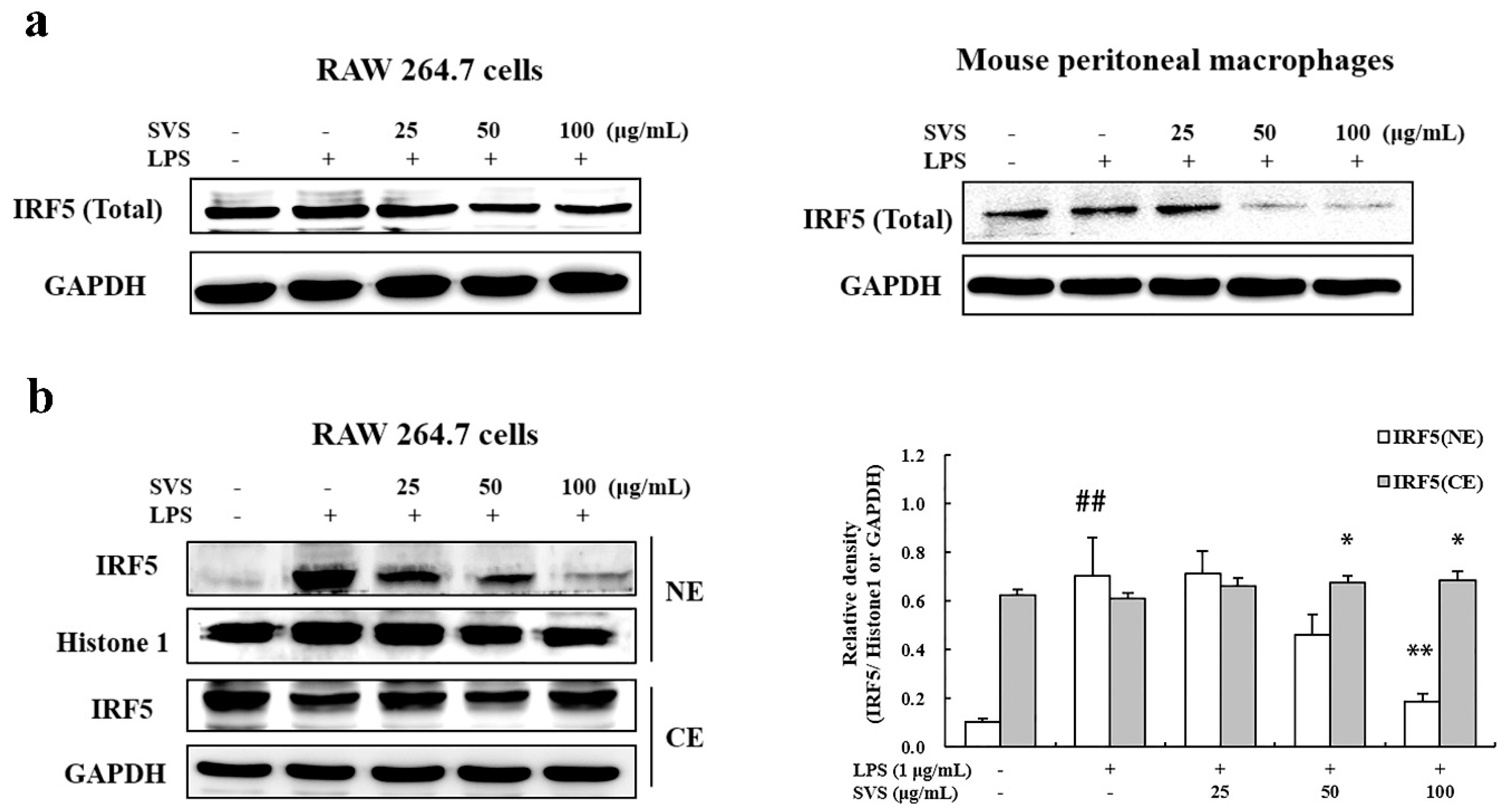 Molecules 26 00858 g007
