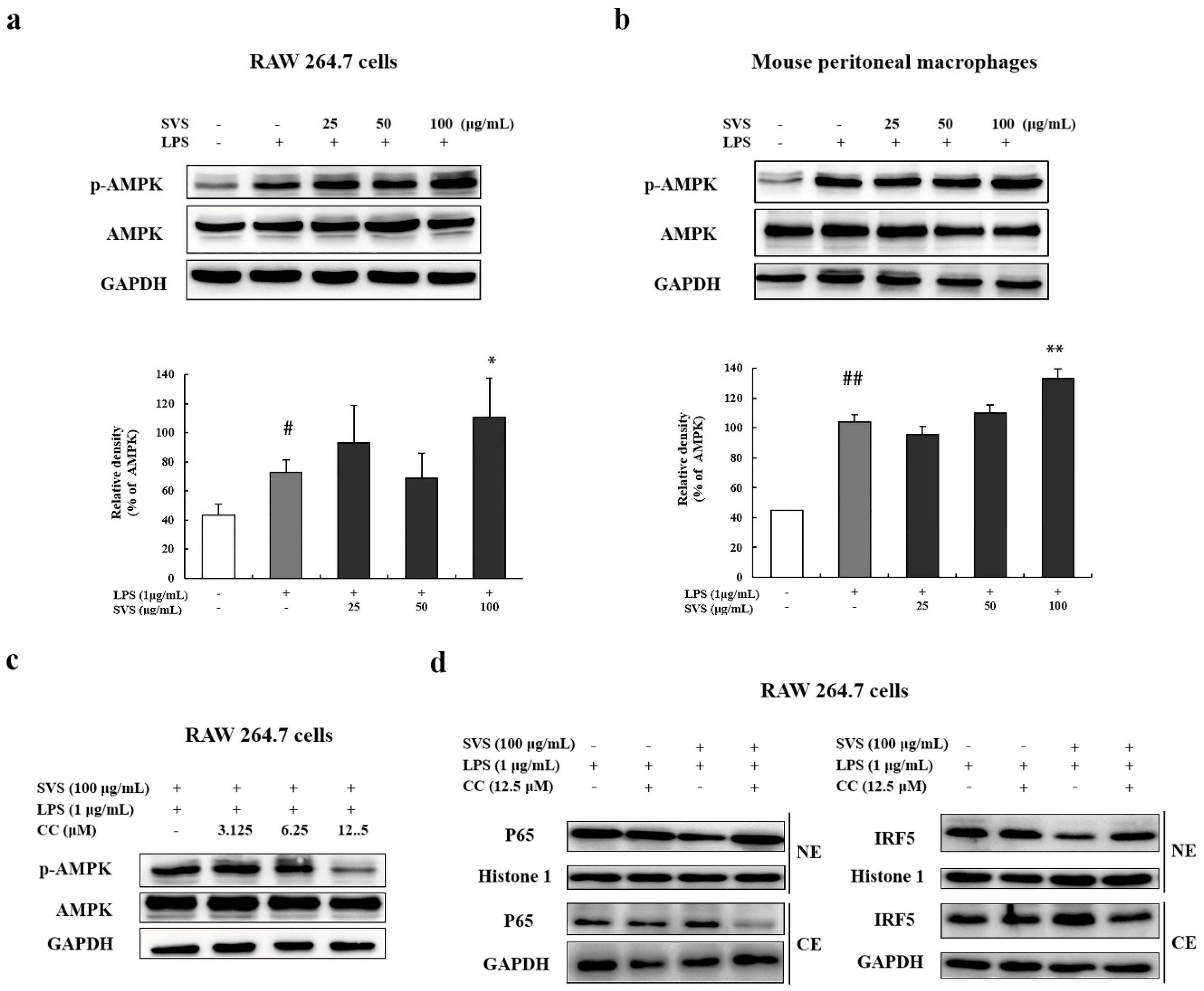 Molecules 26 00858 g008