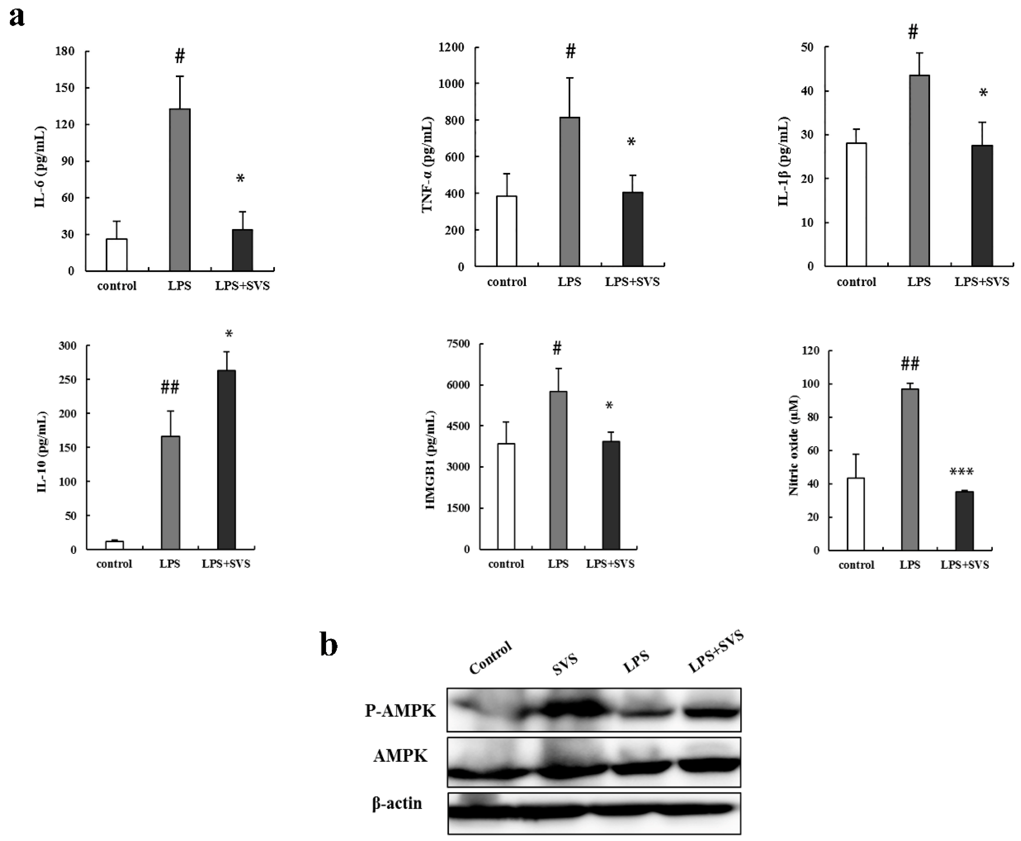 Molecules 26 00858 g010