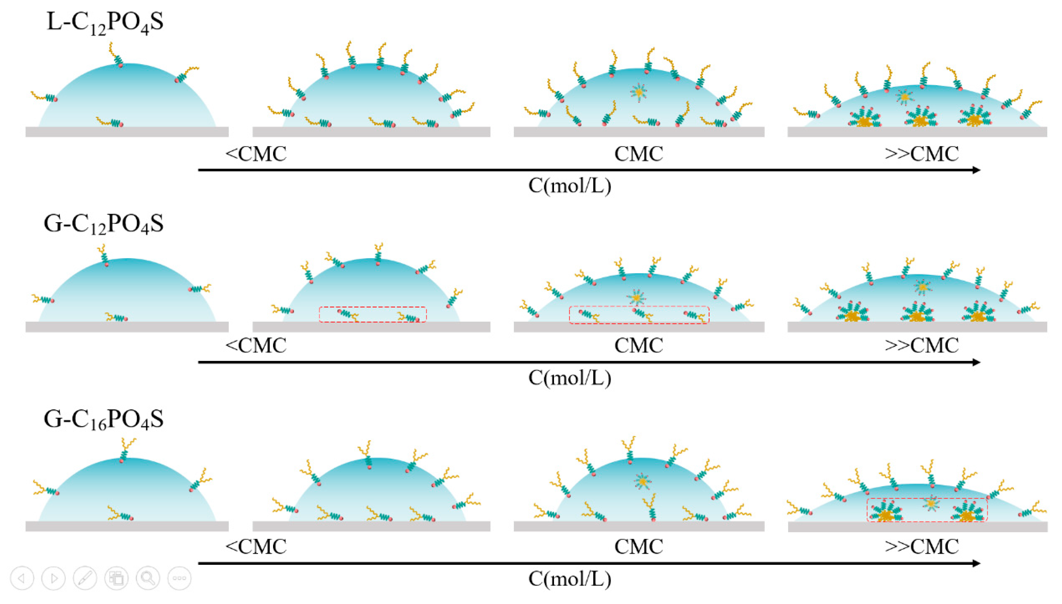 Molecules 26 00863 g007 Molecules 26 00863 g007