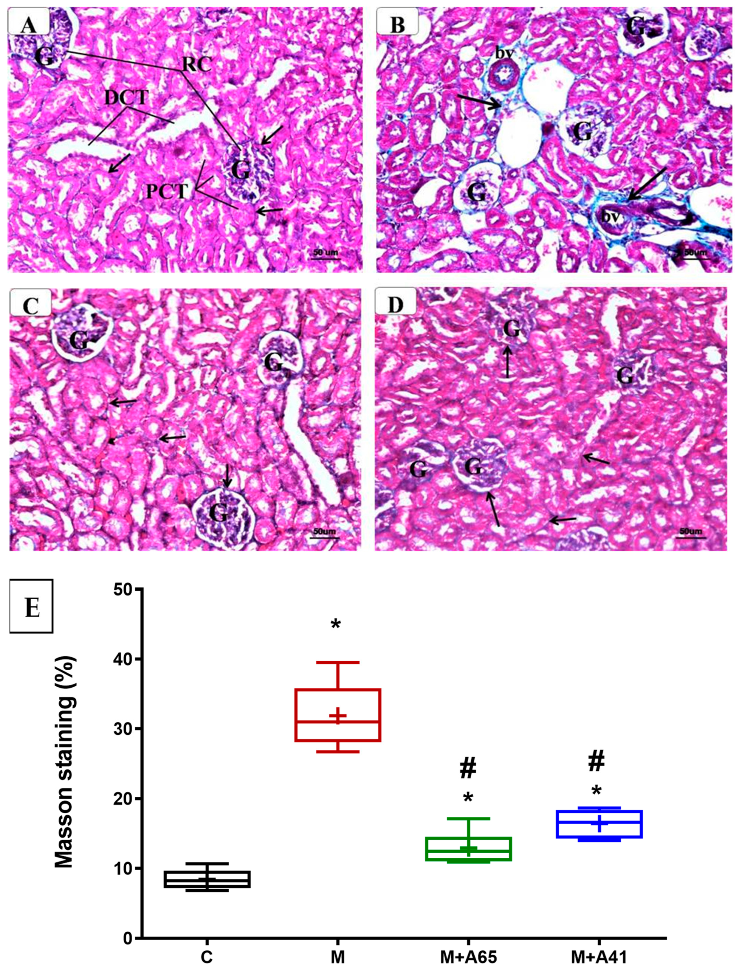 Molecules 26 00866 g006 Molecules 26 00866 g006