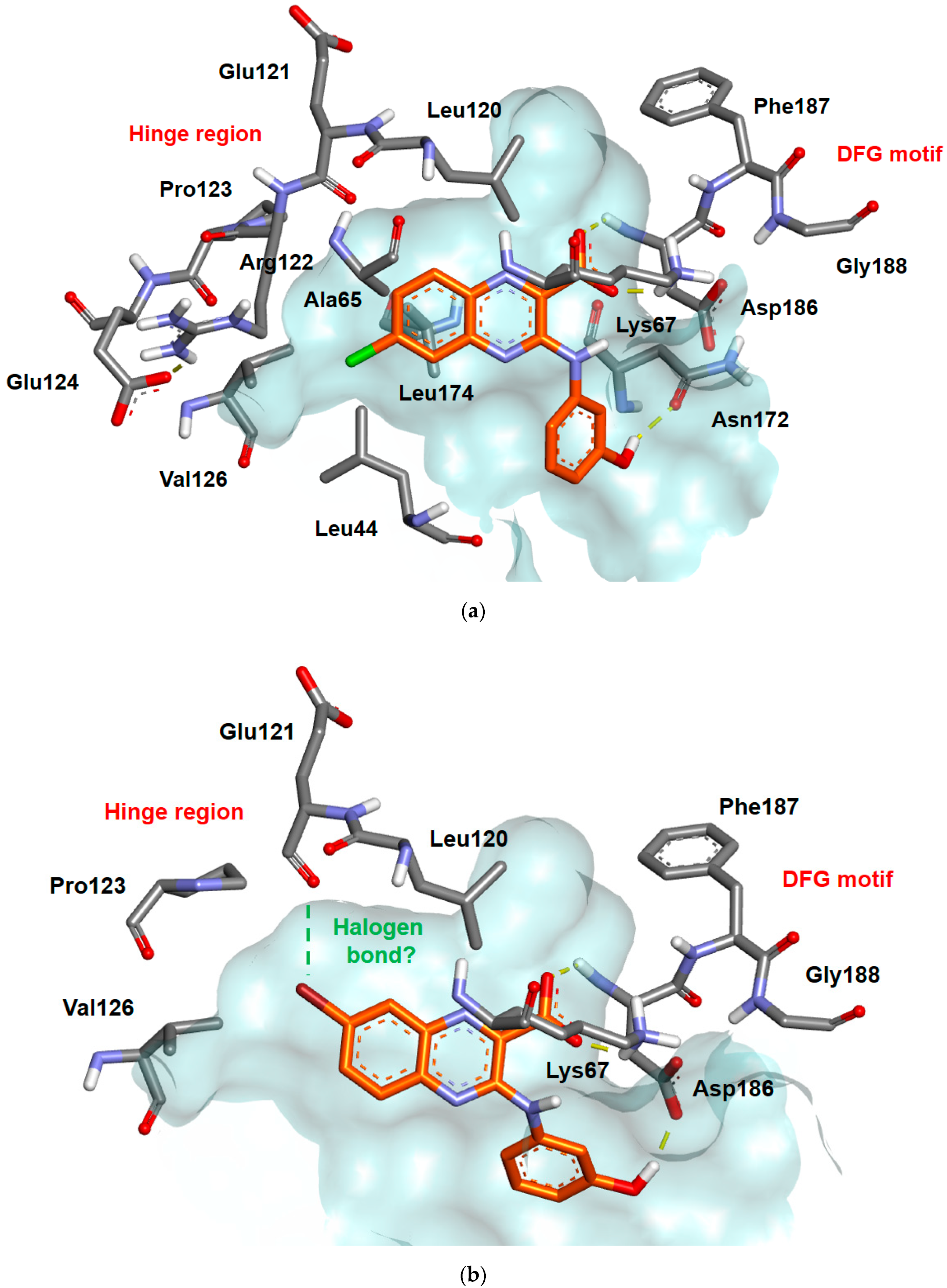 Molecules 26 00867 g004