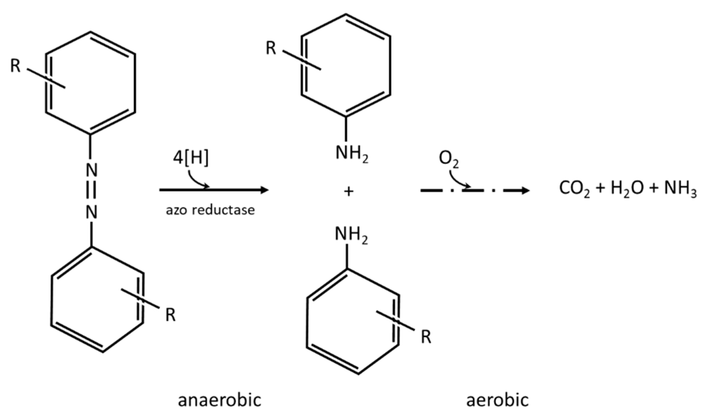 Molecules 26 00870 g002