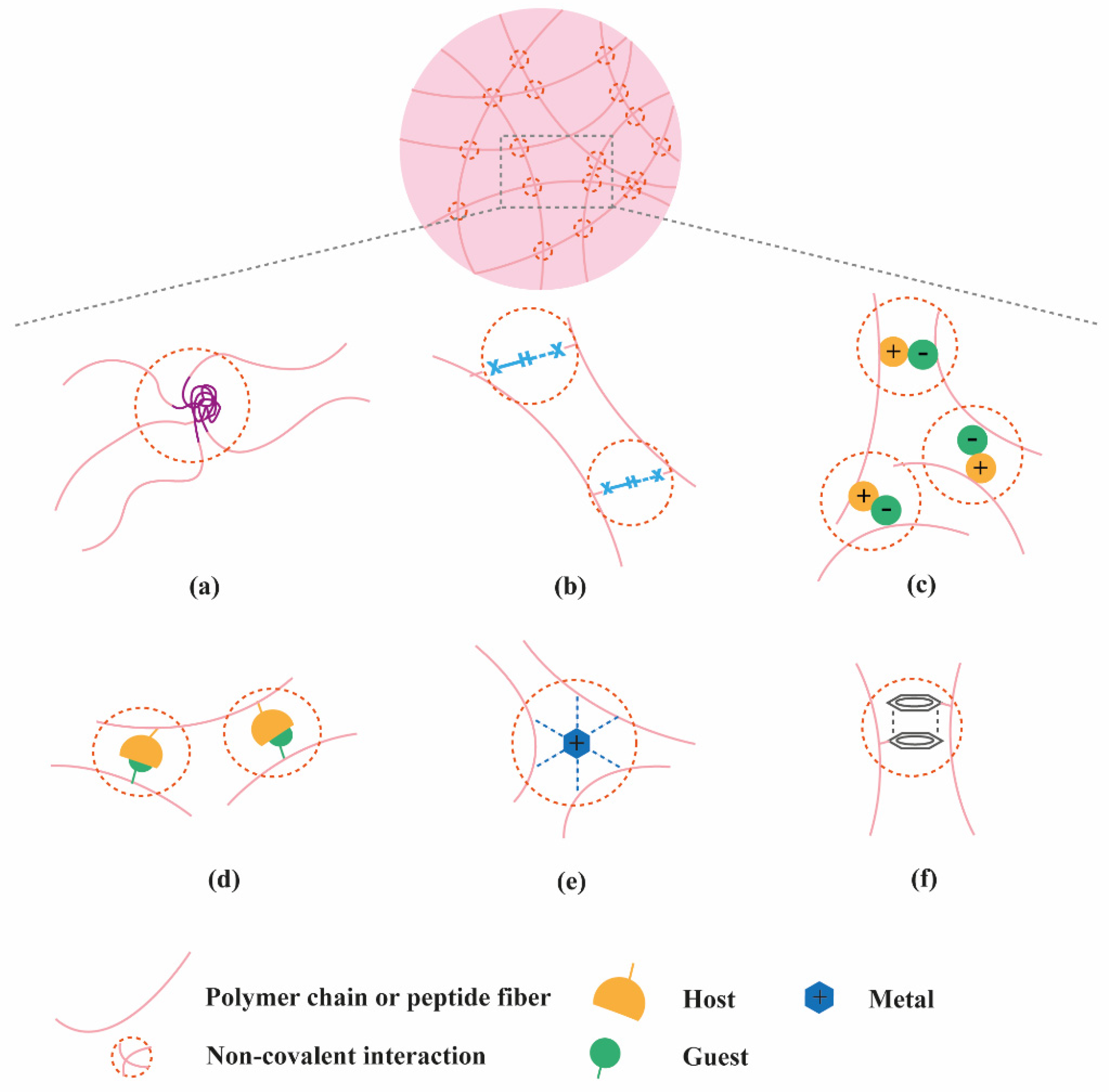 Molecules 26 00873 g001