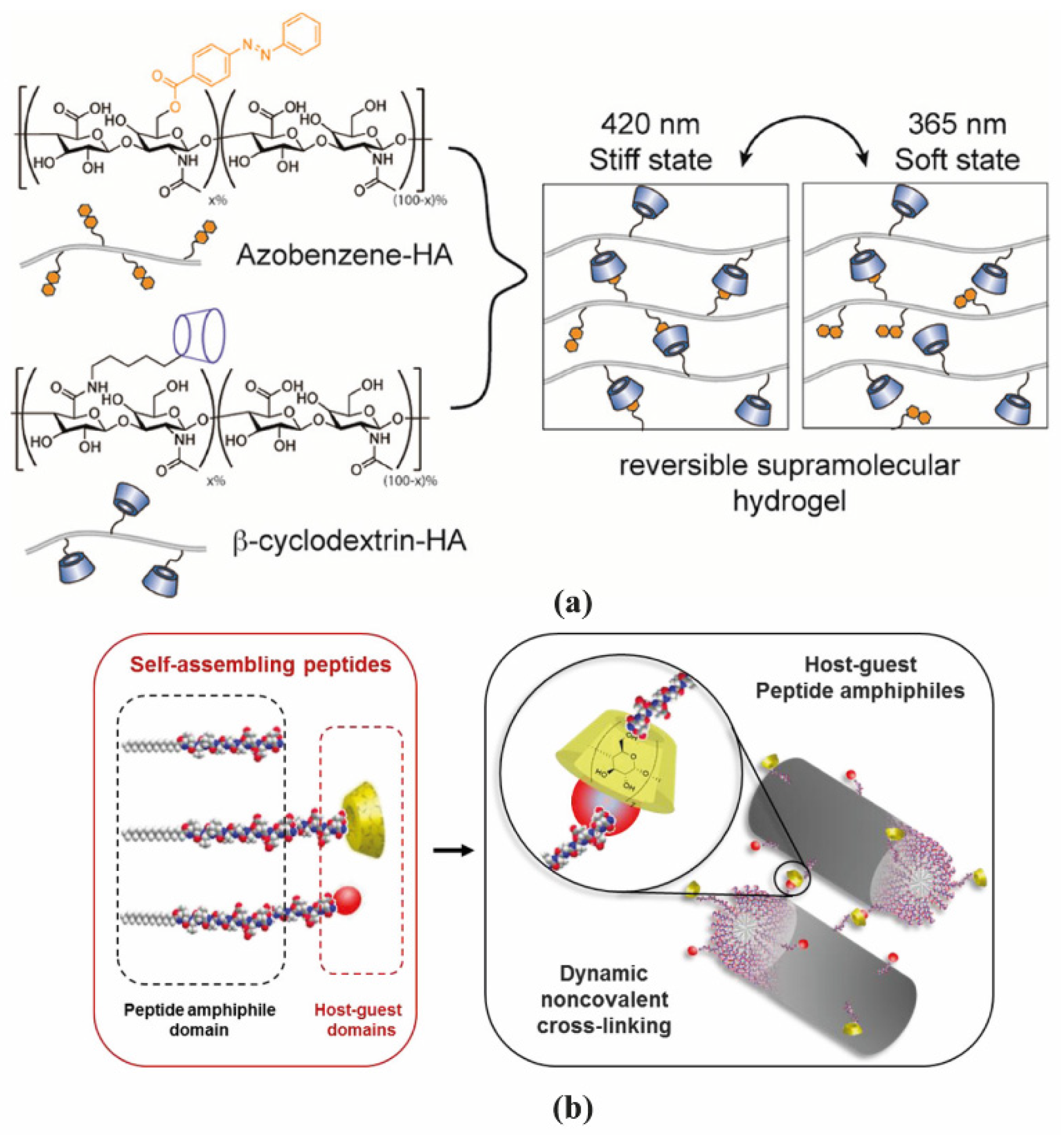 Molecules 26 00873 g003