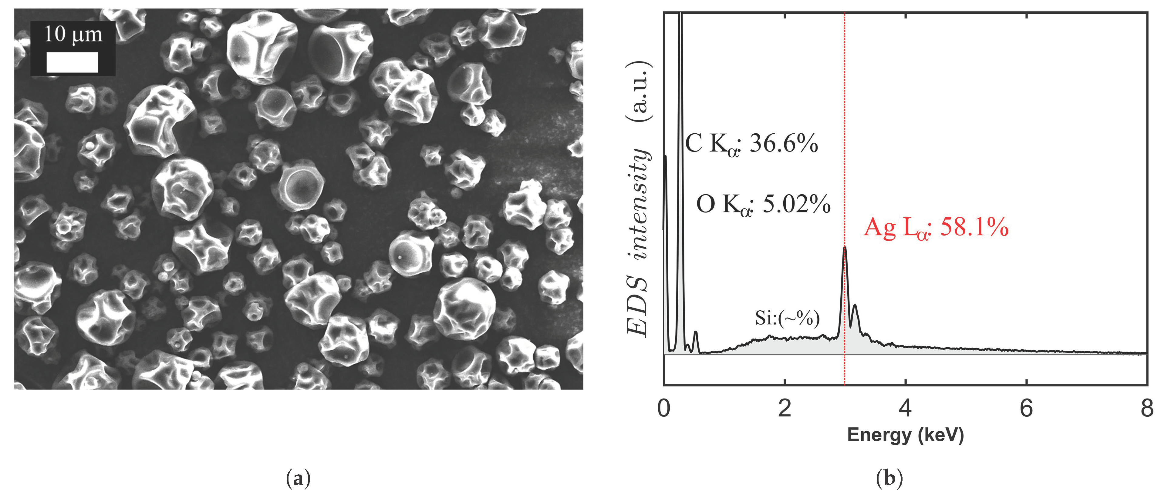 Molecules 26 00876 g002 Molecules 26 00876 g002