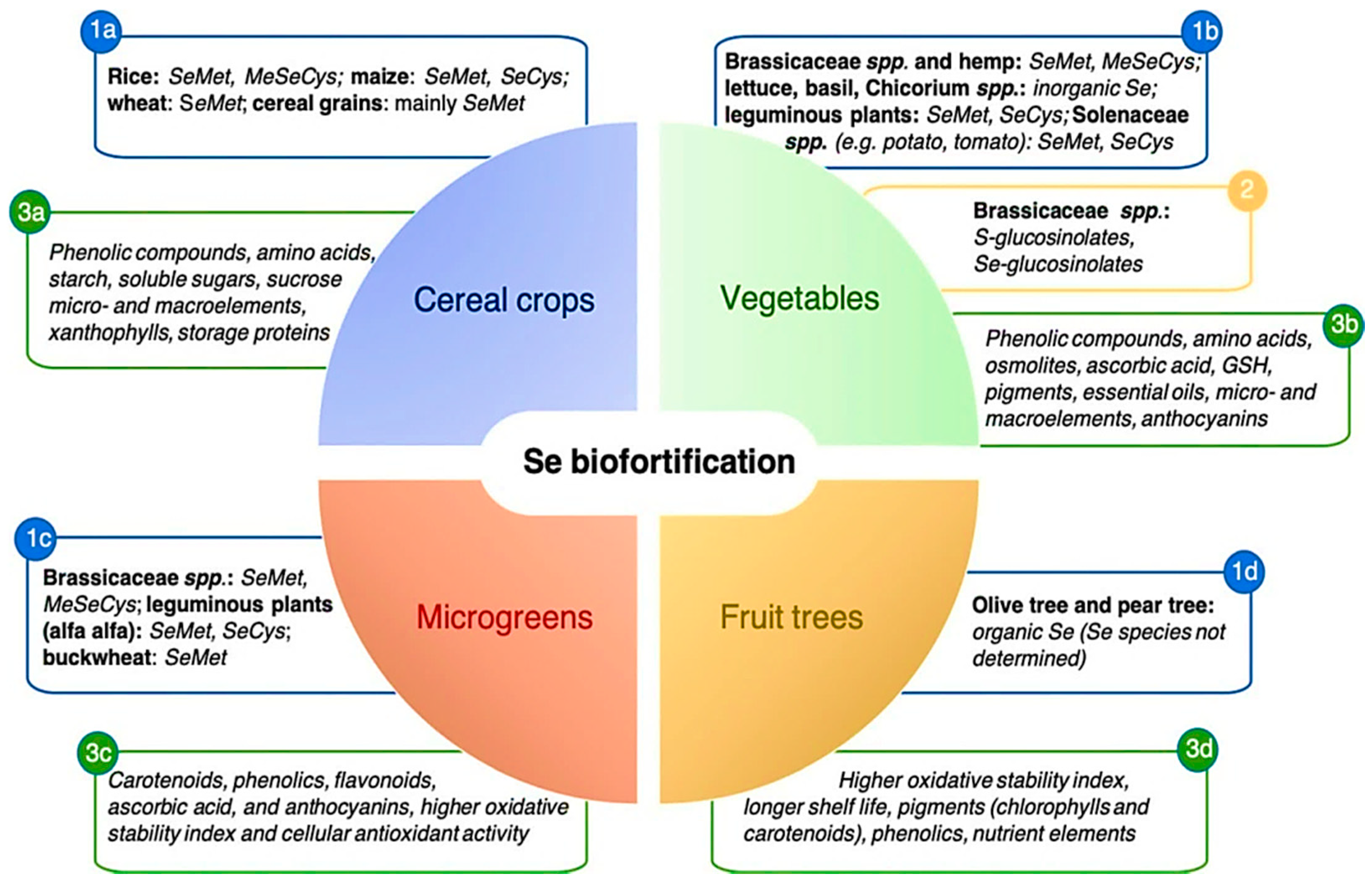 Molecules 26 00881 g003