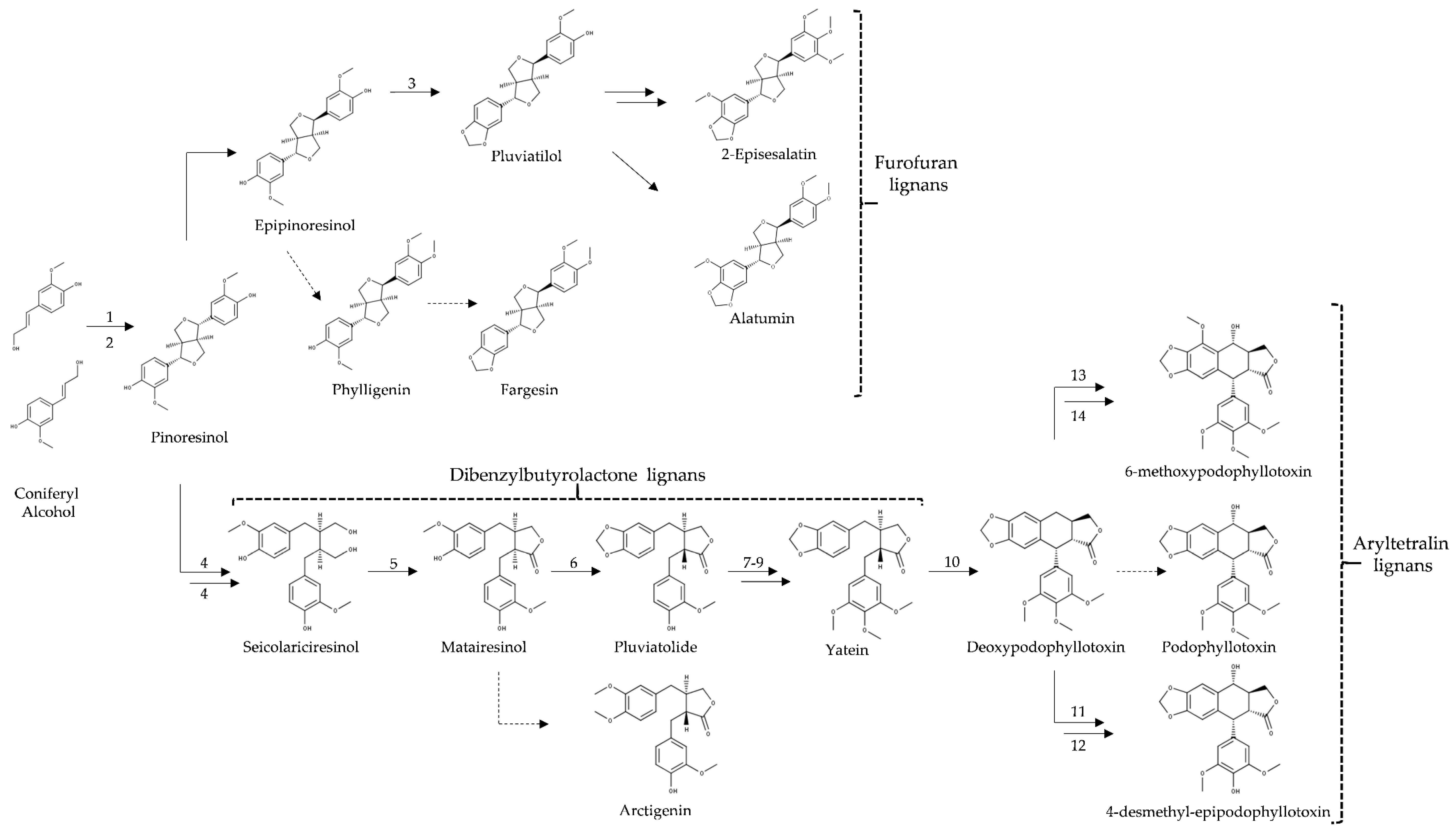 Molecules 26 00883 g010 Molecules 26 00883 g010