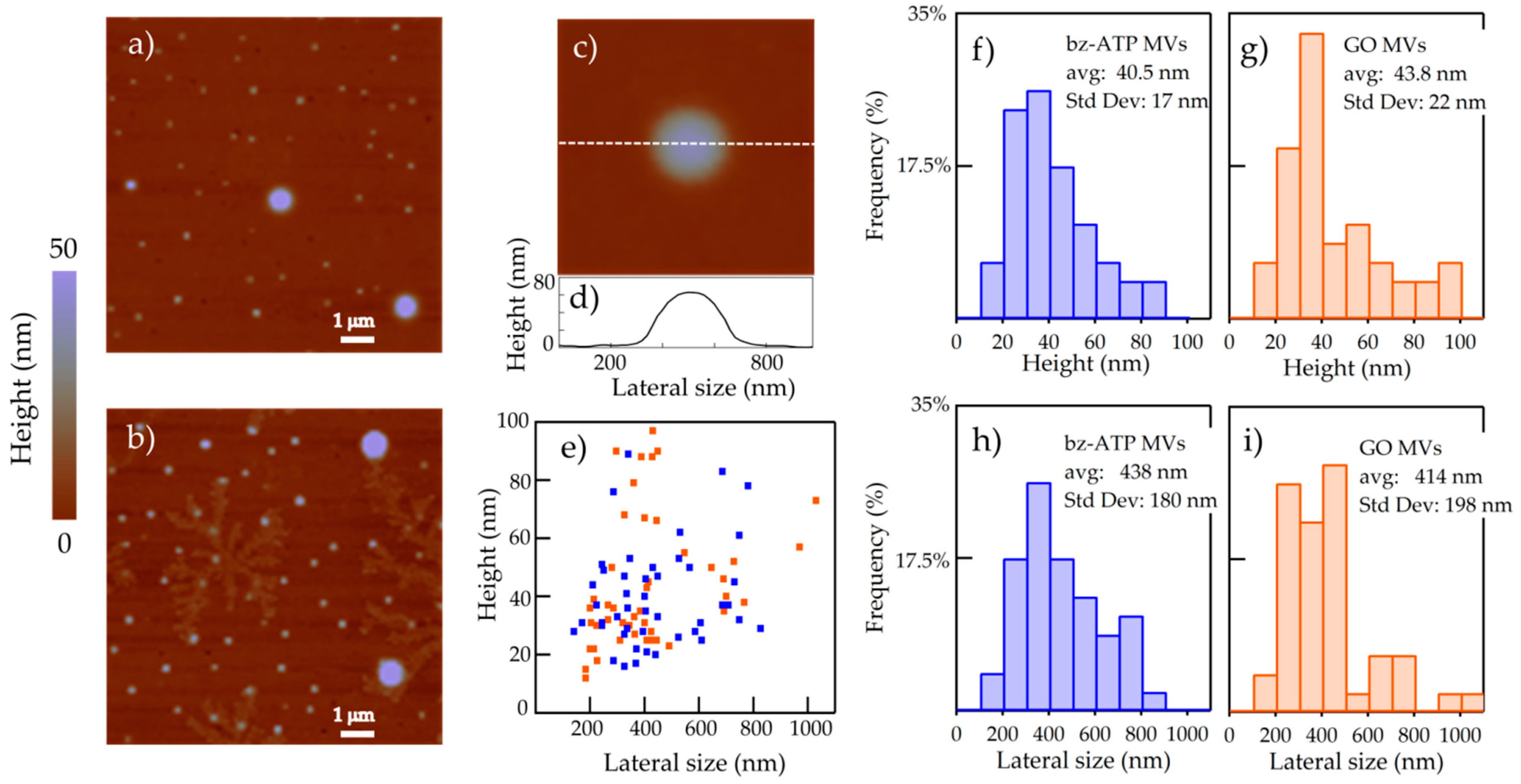 Molecules 26 00887 g001