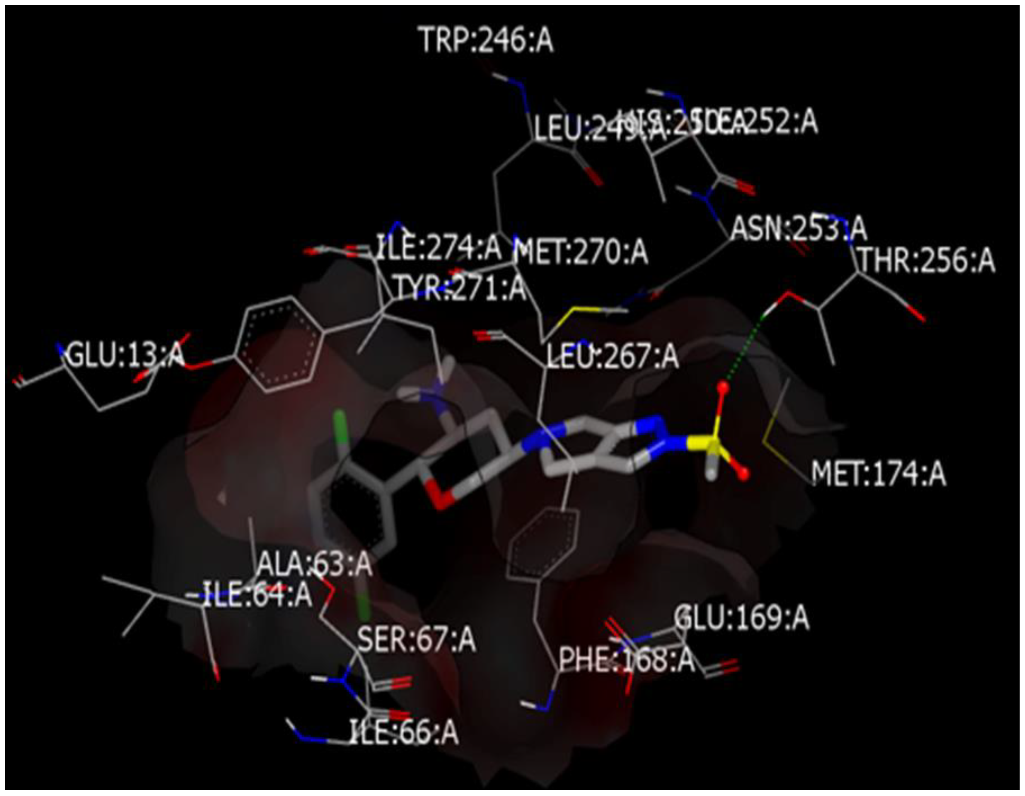 Molecules 26 00889 g002