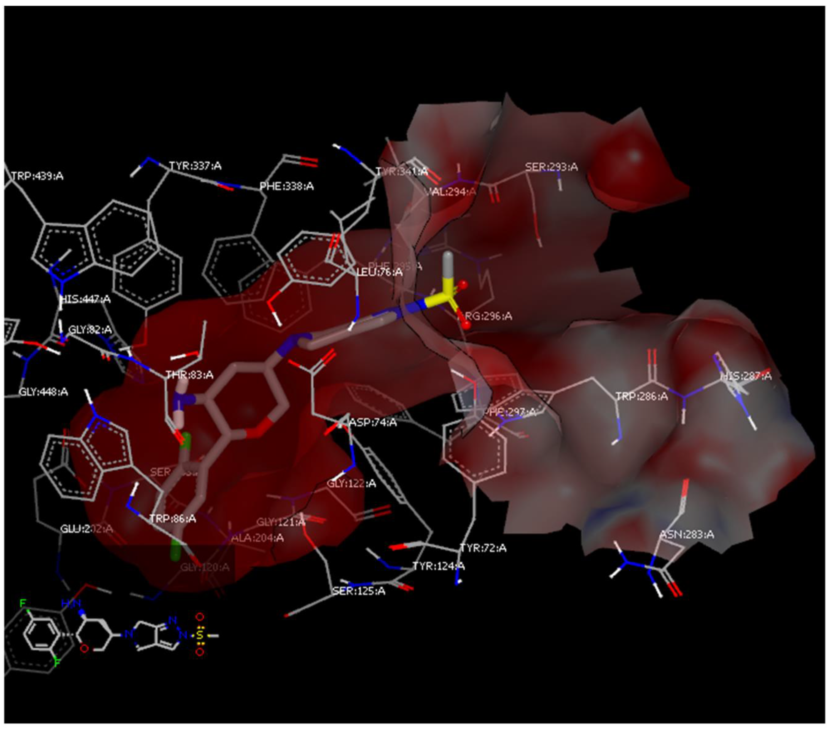 Molecules 26 00889 g003