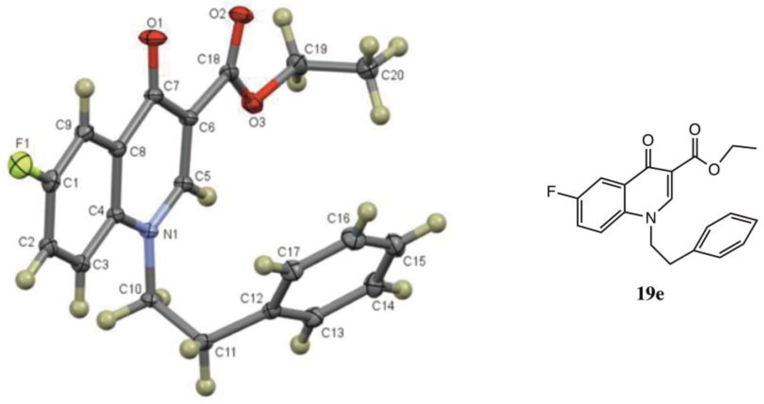 Molecules 26 00890 g005 Molecules 26 00890 g005