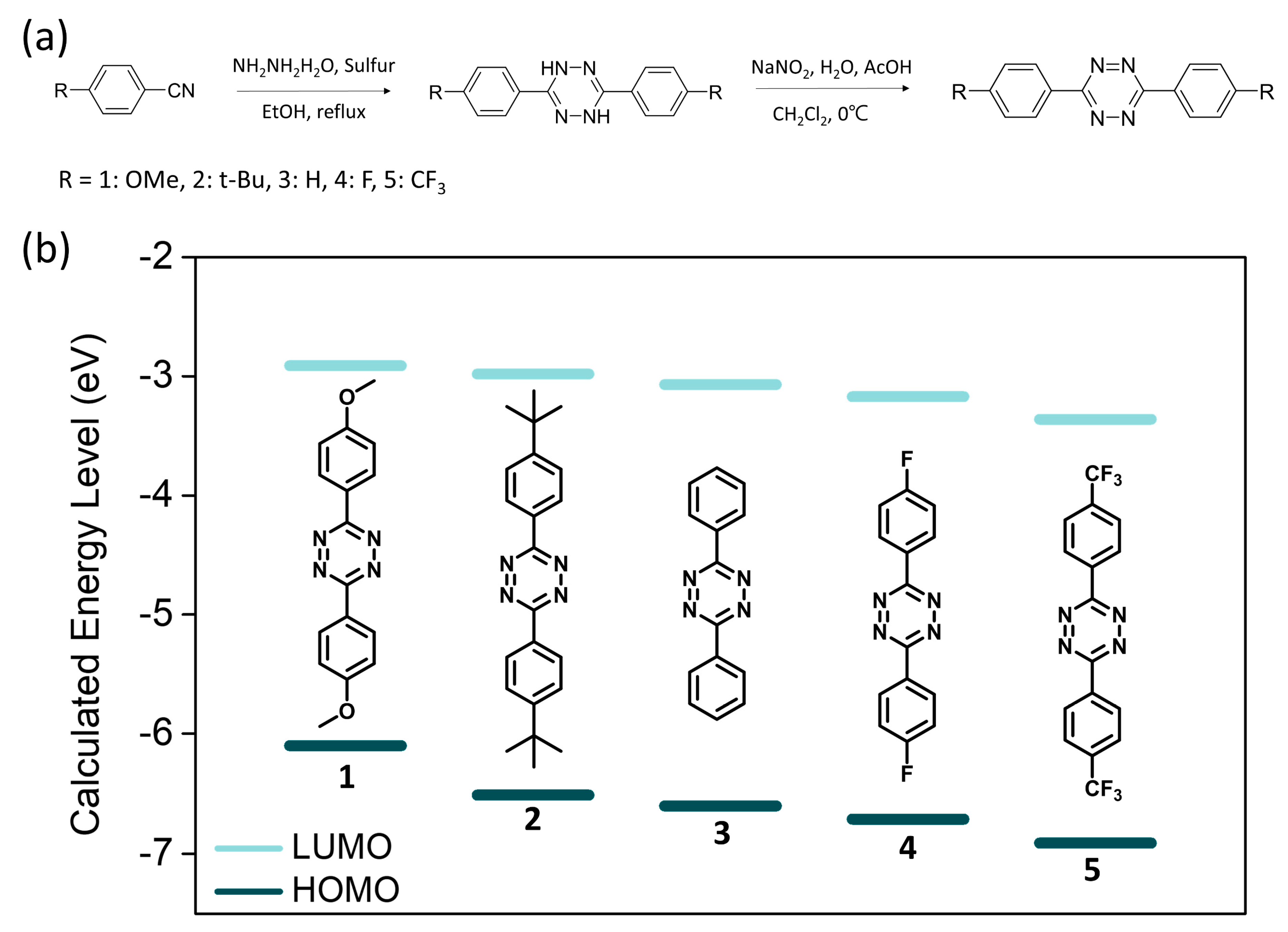 Molecules 26 00894 g001