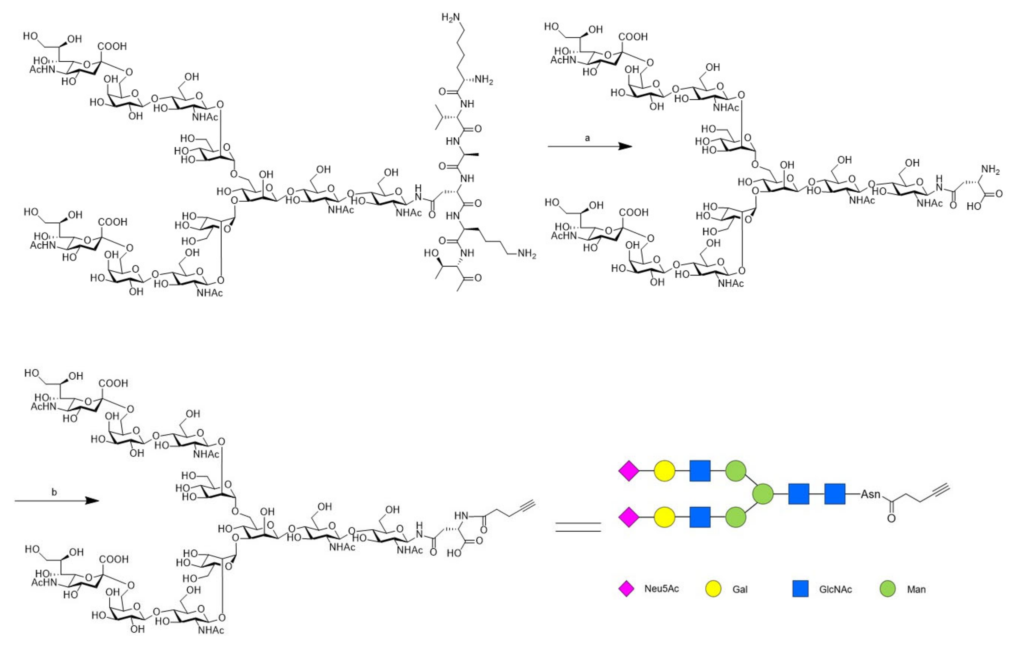 Molecules 26 00895 sch001
