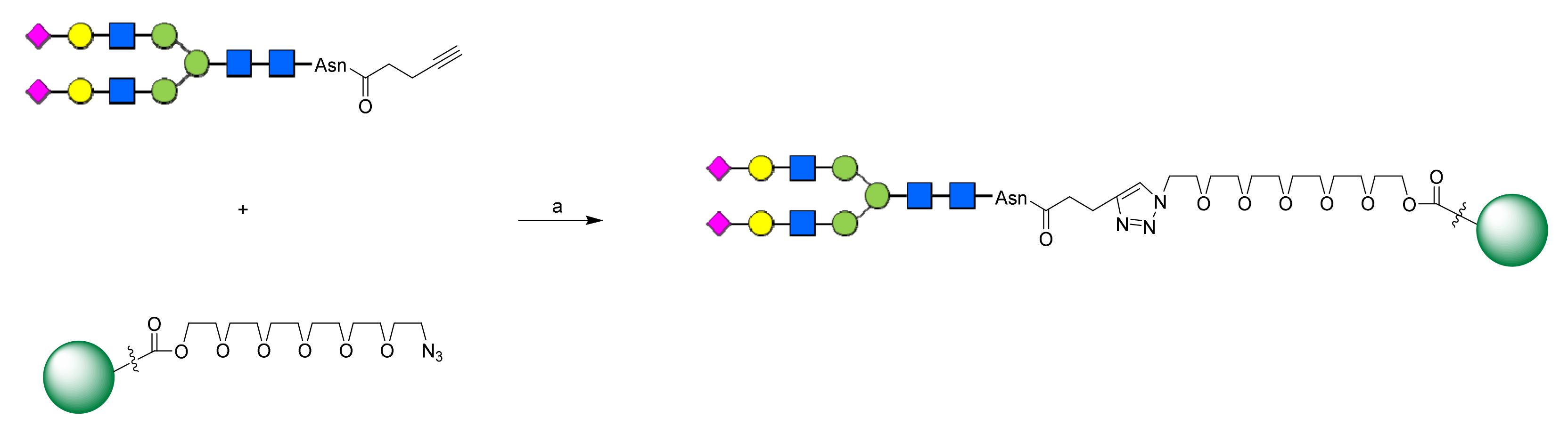 Molecules 26 00895 sch003