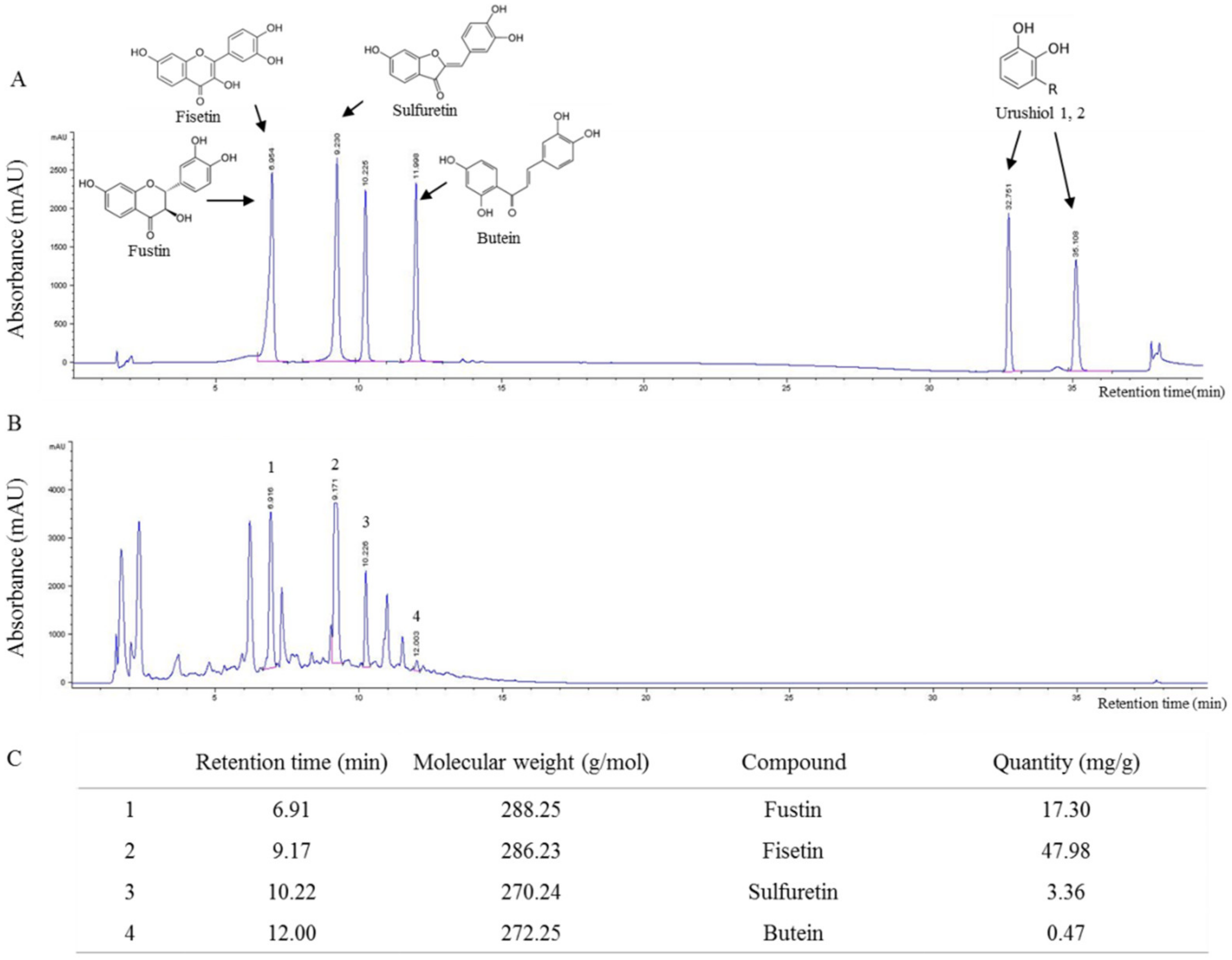 Molecules 26 00896 g001