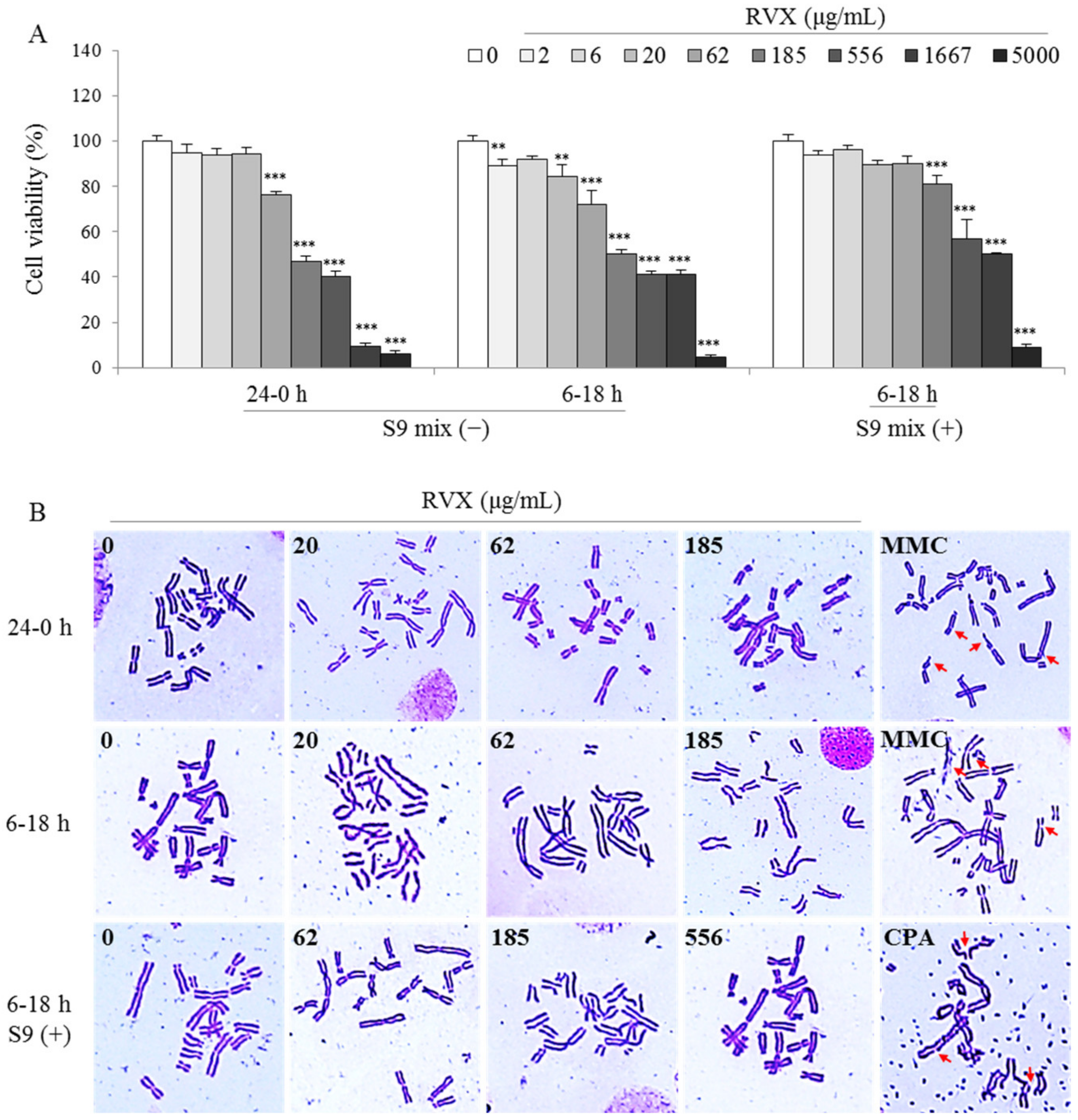 Molecules 26 00896 g003