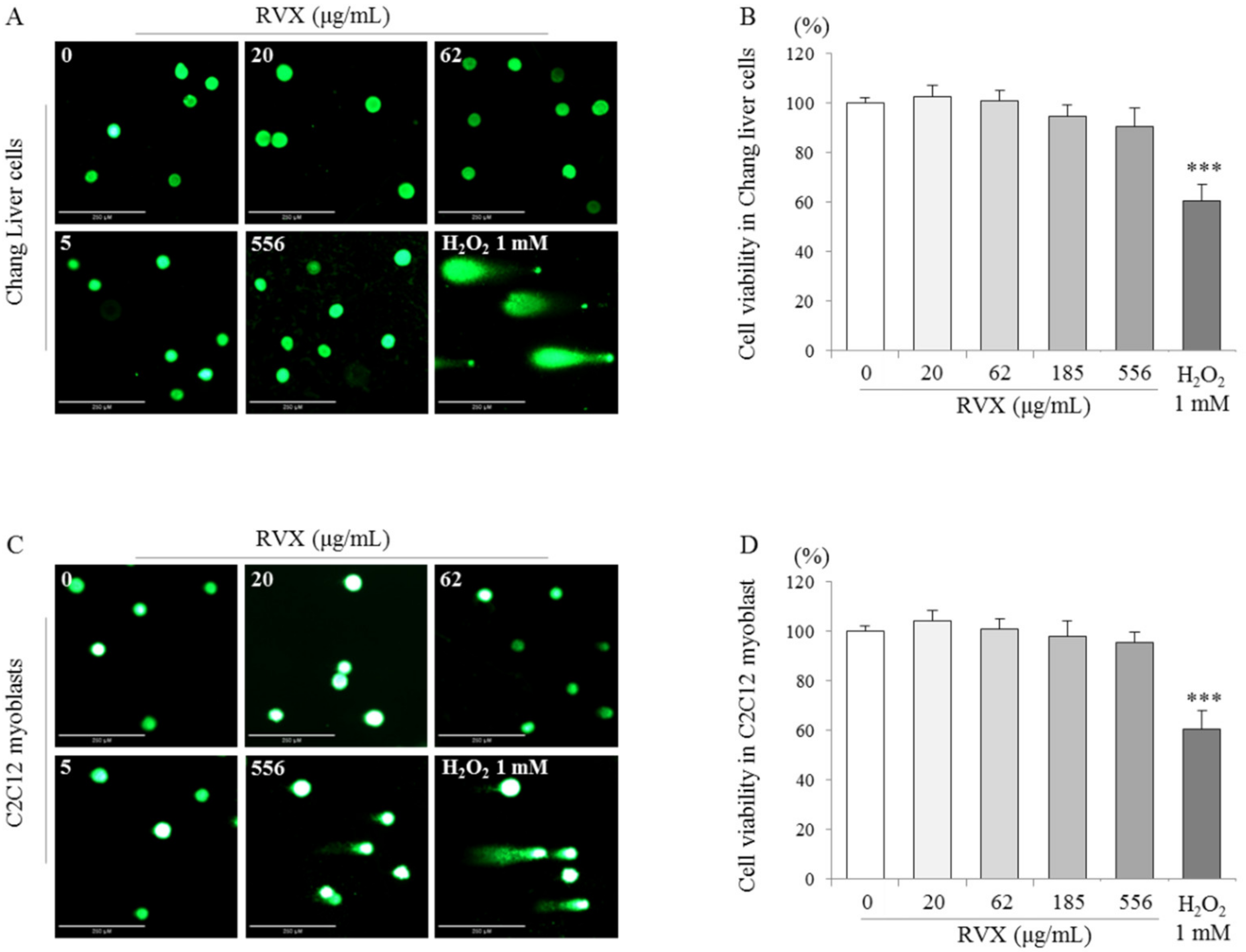 Molecules 26 00896 g004