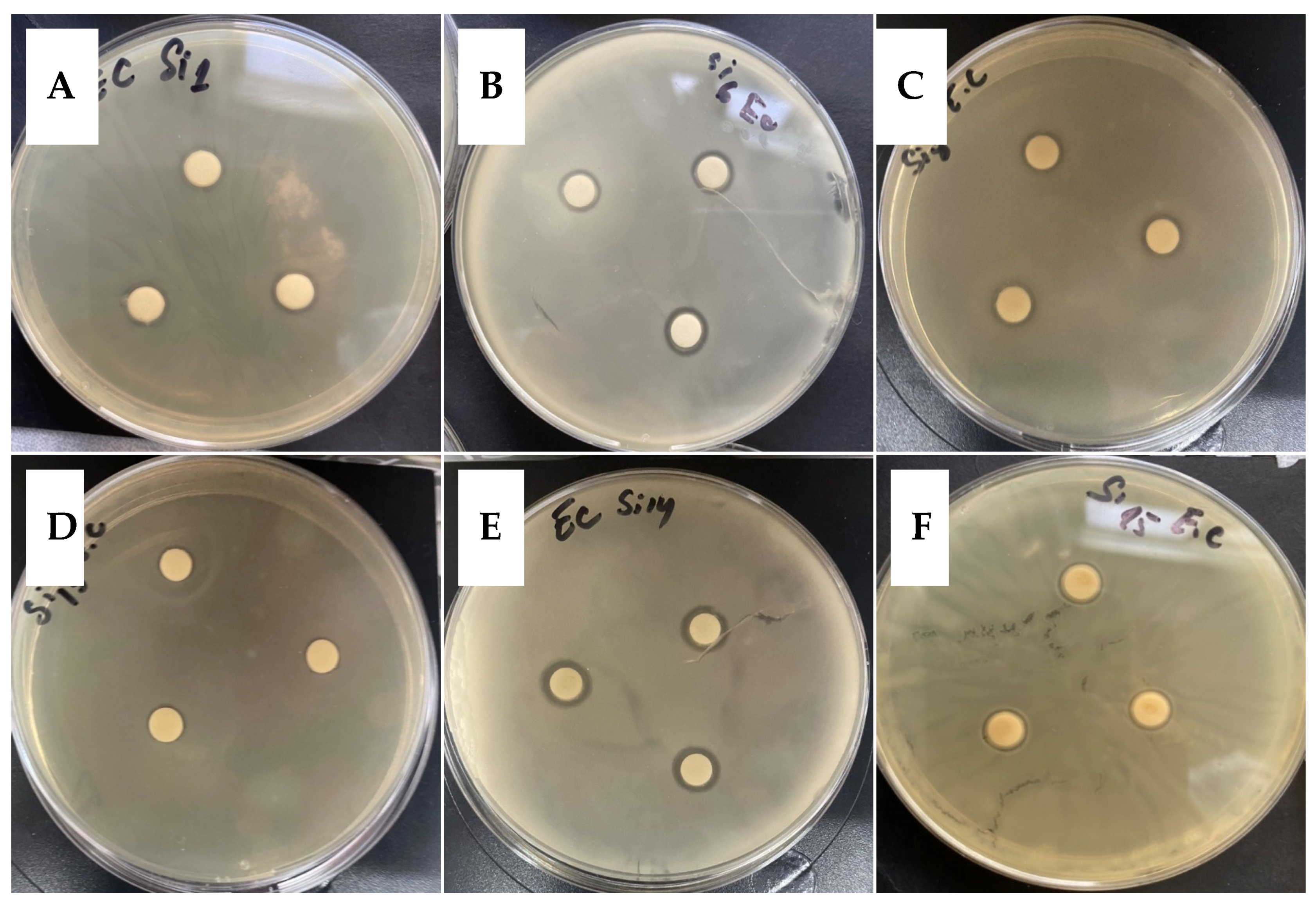 Molecules 26 00898 g003 Molecules 26 00898 g003