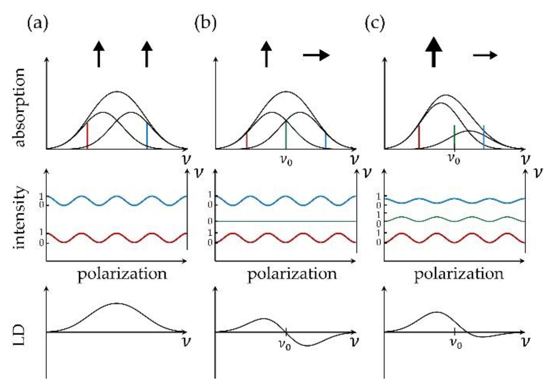 Molecules 26 00899 g001