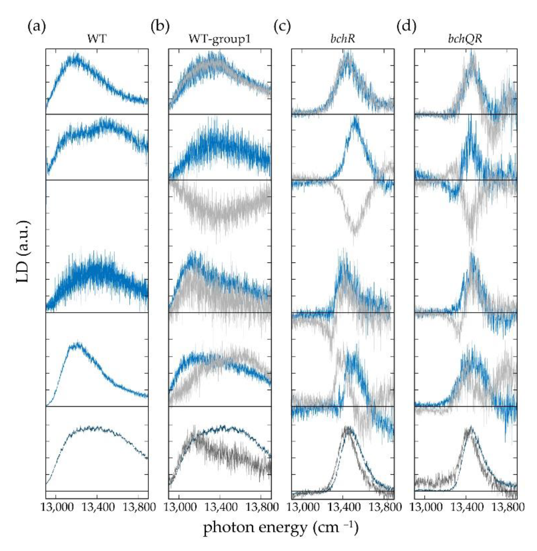 Molecules 26 00899 g005