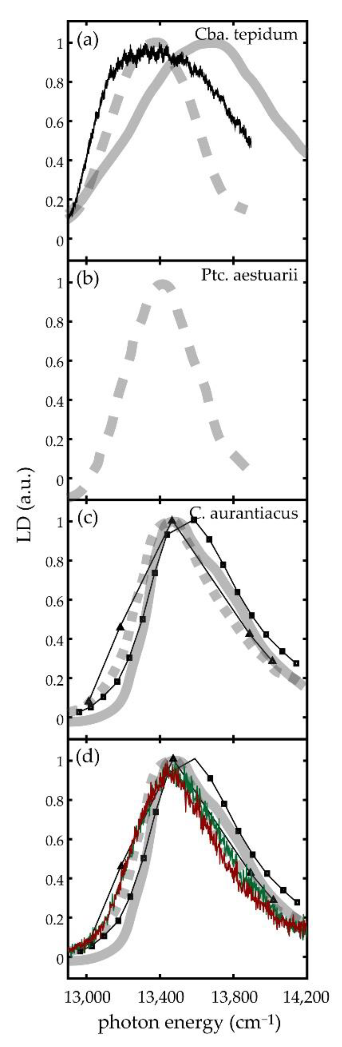 Molecules 26 00899 g006