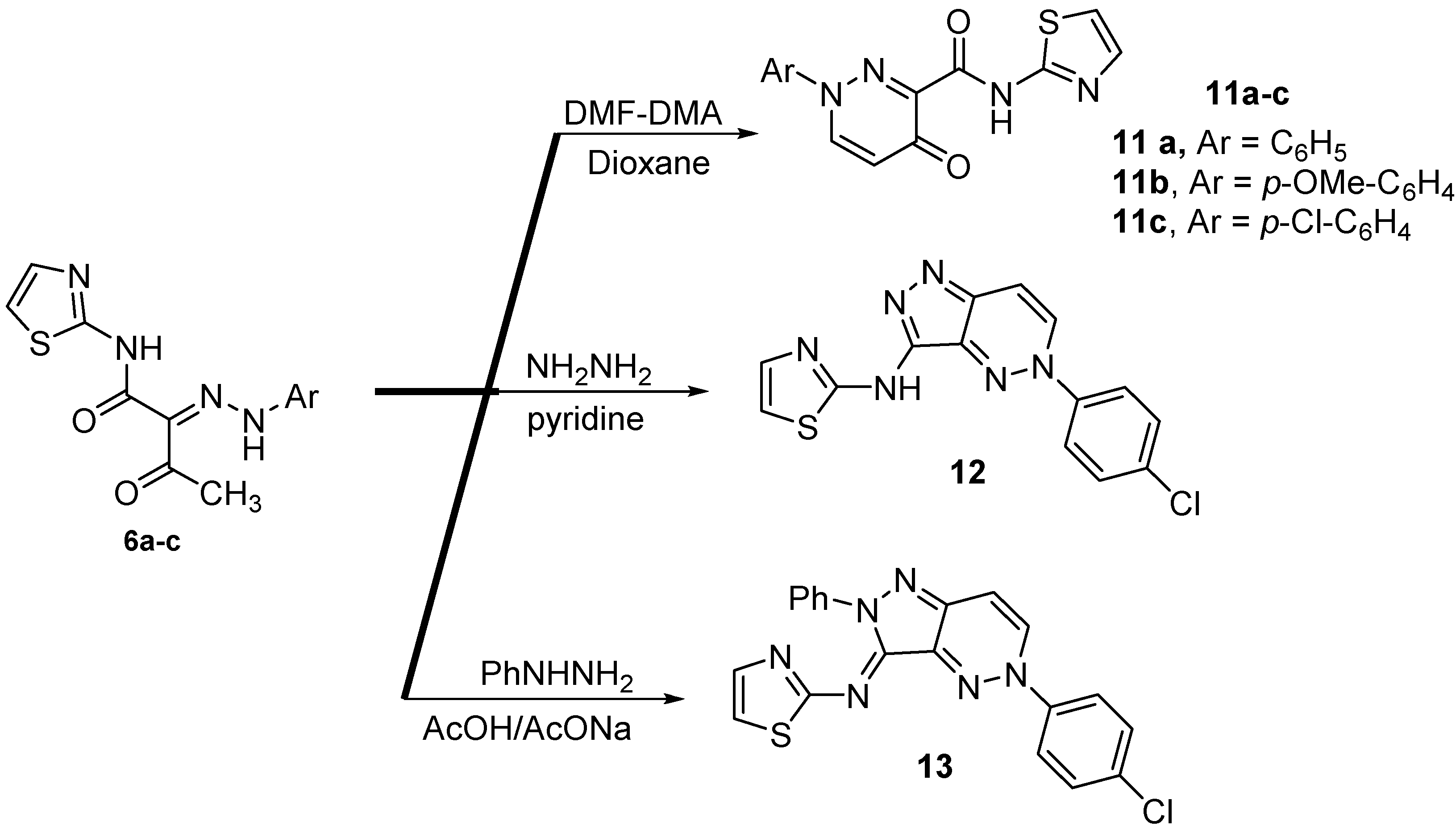 Molecules 26 00902 sch003