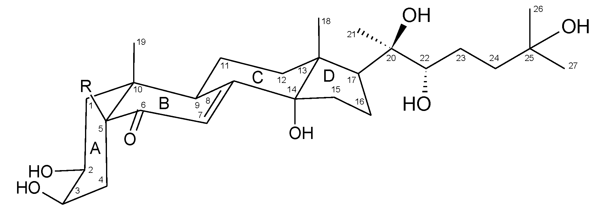 Molecules 26 00904 g001