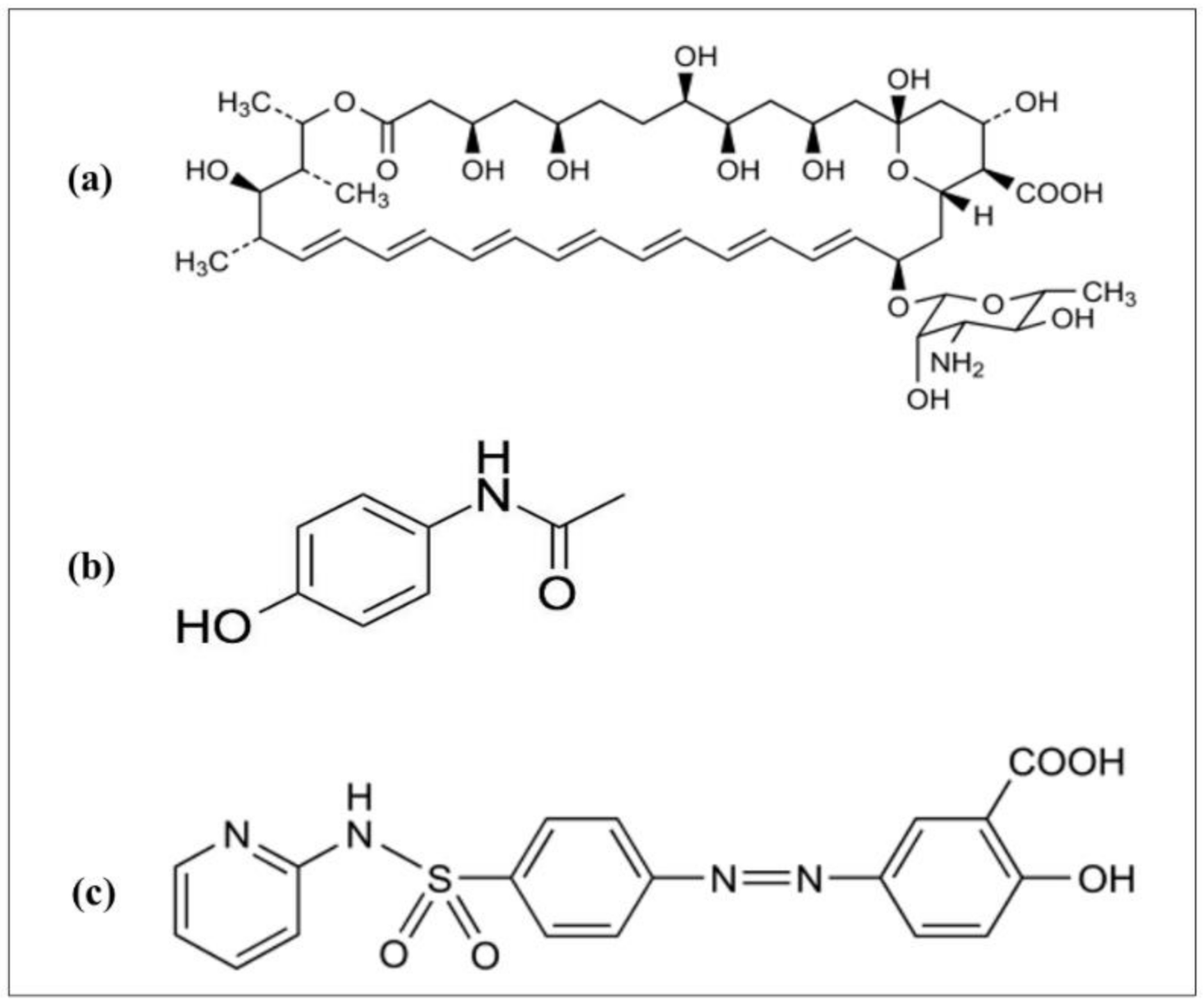 Molecules 26 00908 g001