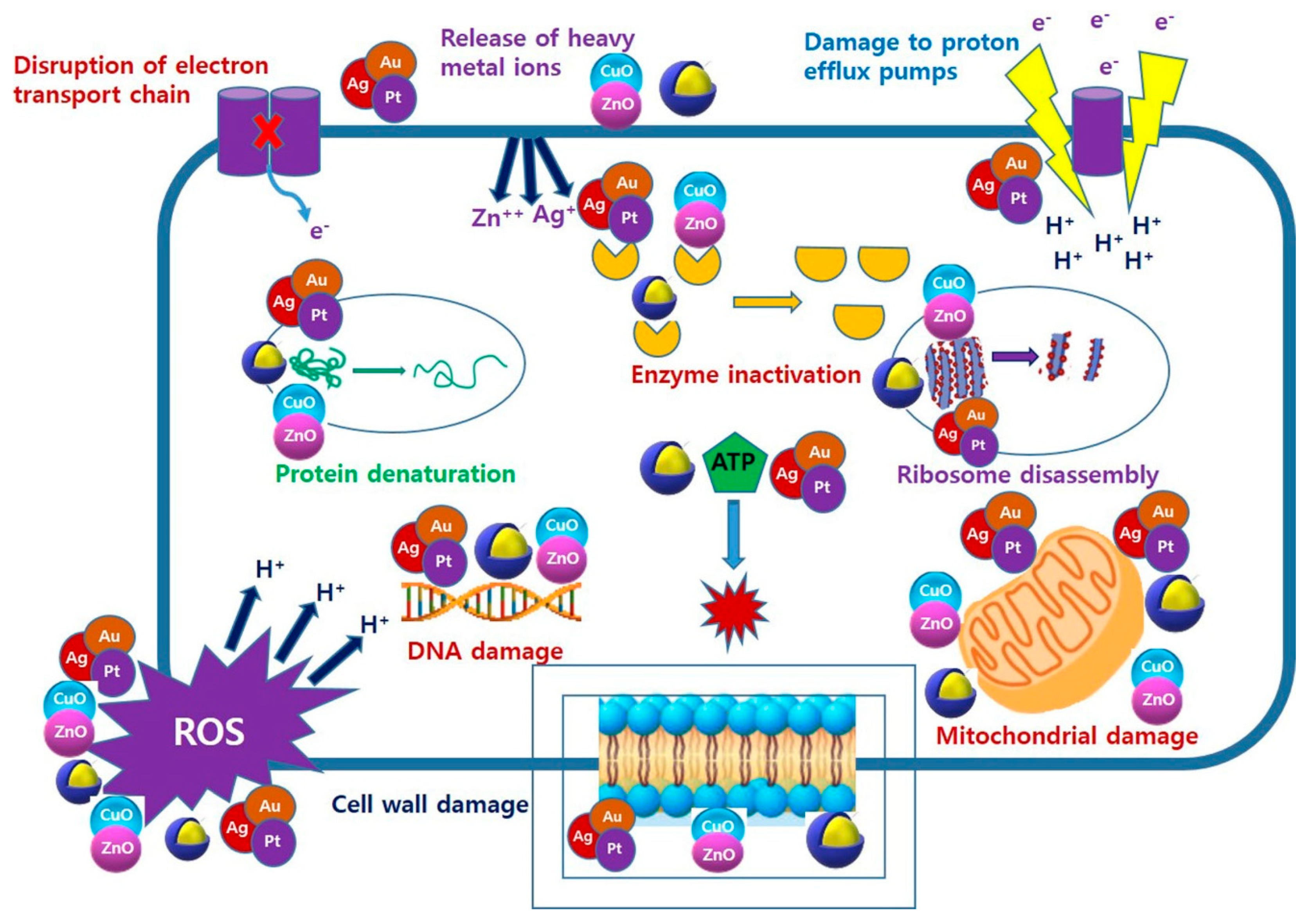 Molecules 26 00912 g002 Molecules 26 00912 g002