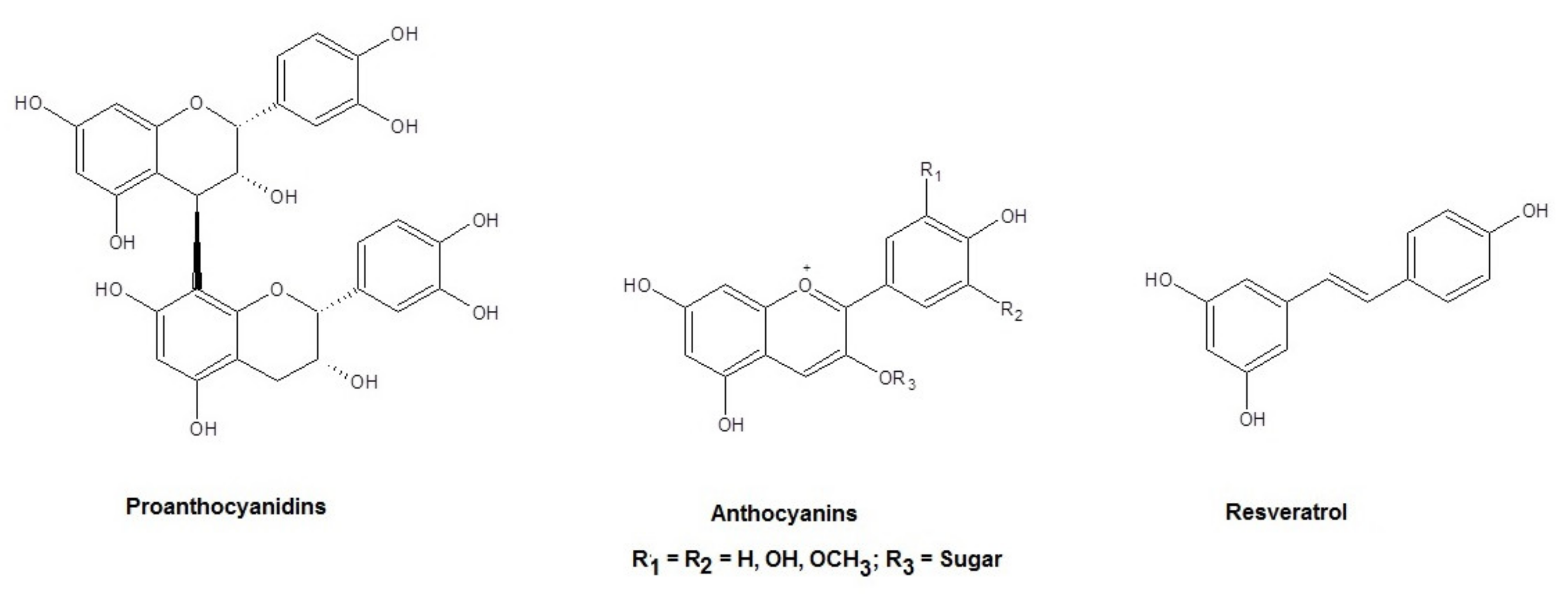 Molecules 26 00916 g001